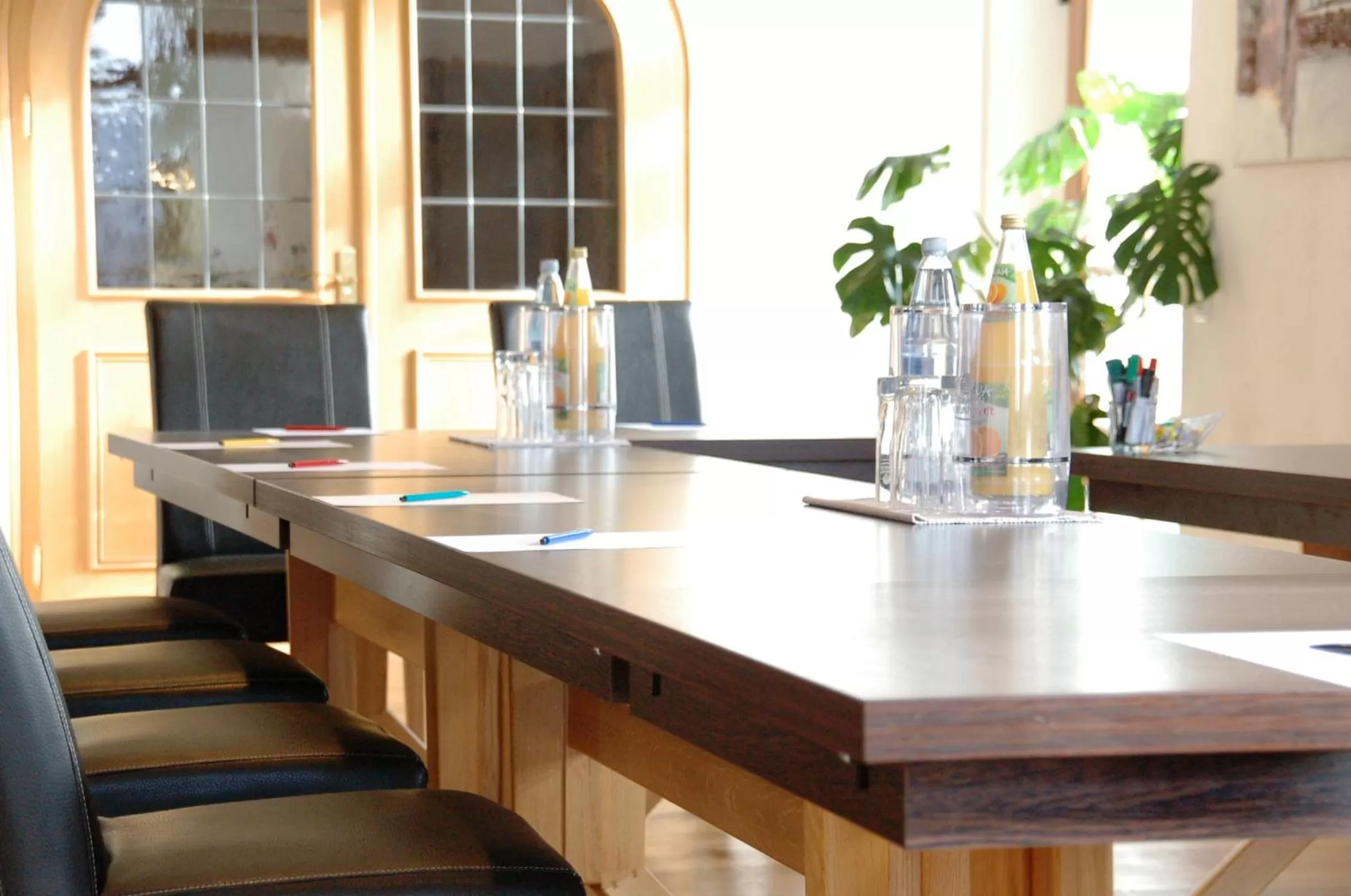 Business facilities in Landhotel Geiselwind