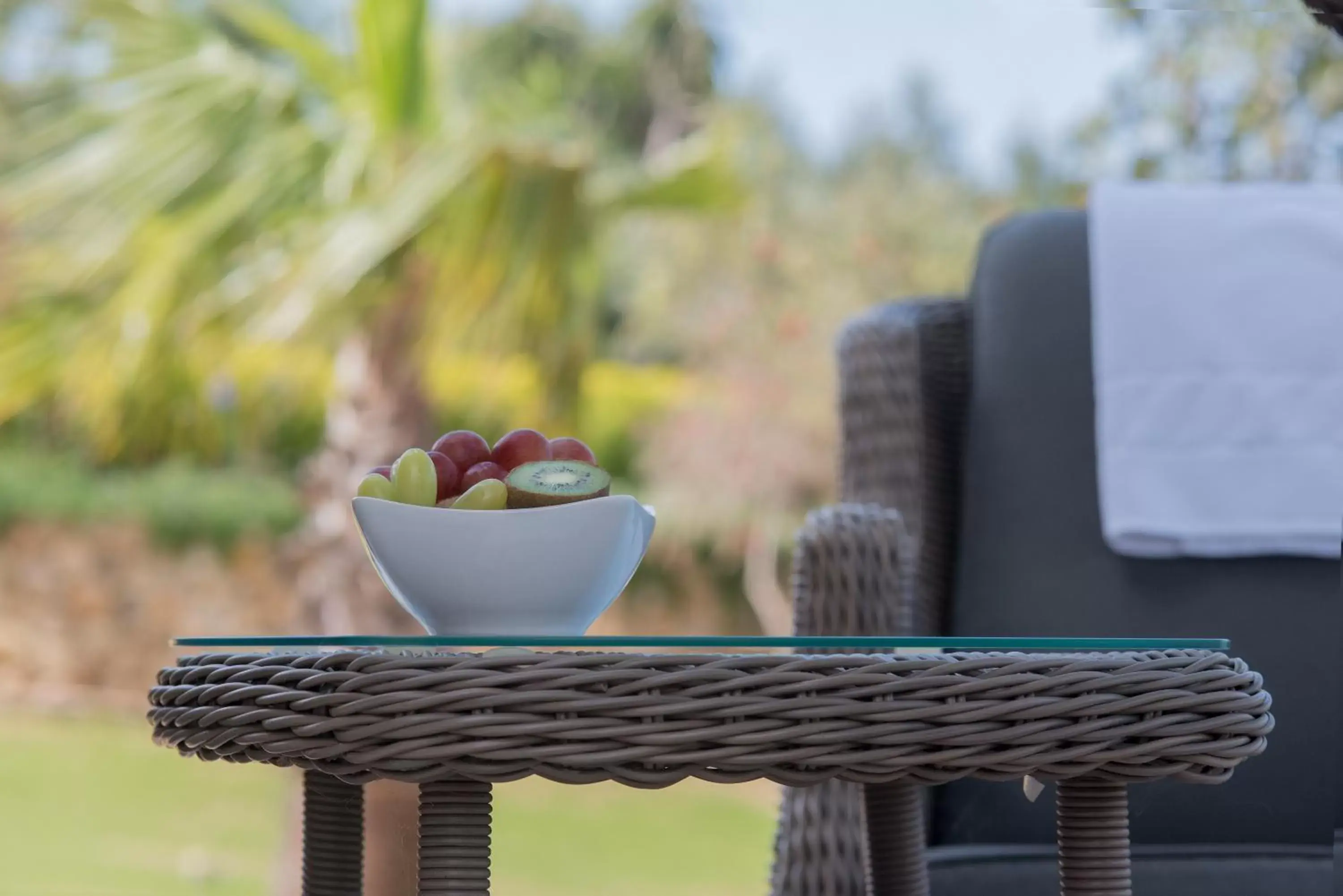 Garden view in Casa Font i Roig