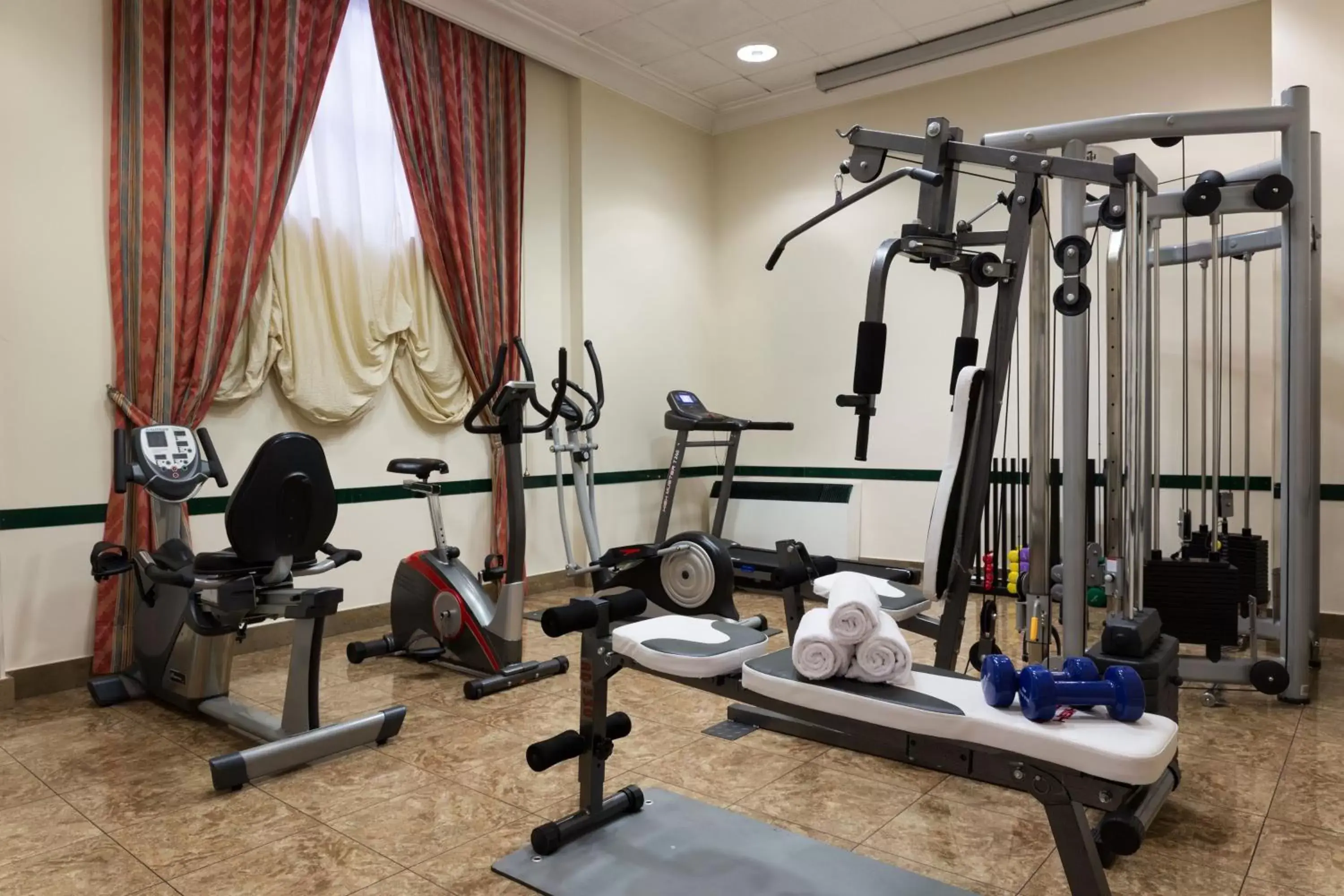 Sports, Fitness Center/Facilities in Hotel Torino Royal