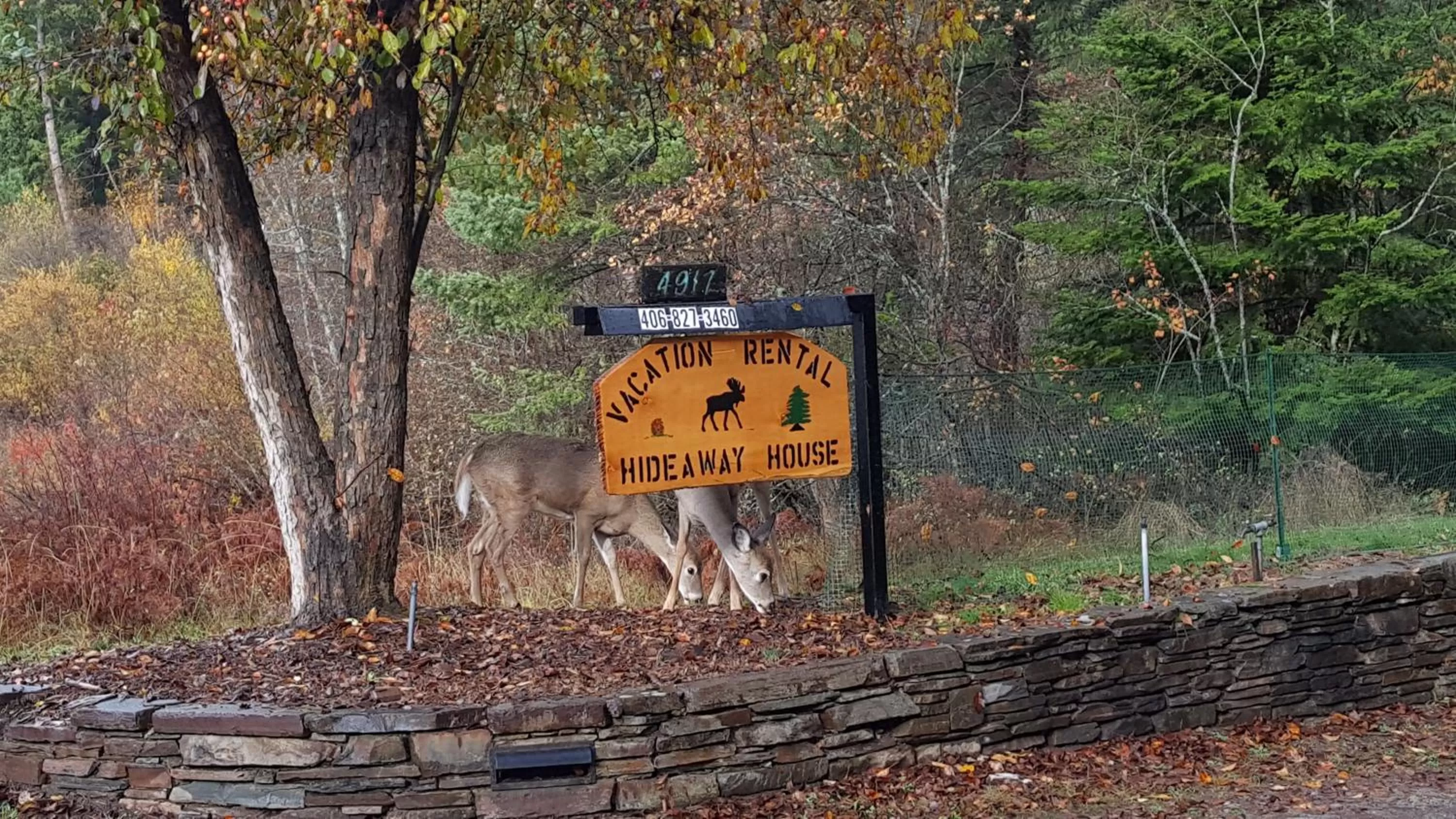 Natural landscape in Riverfront Motel & Cabins