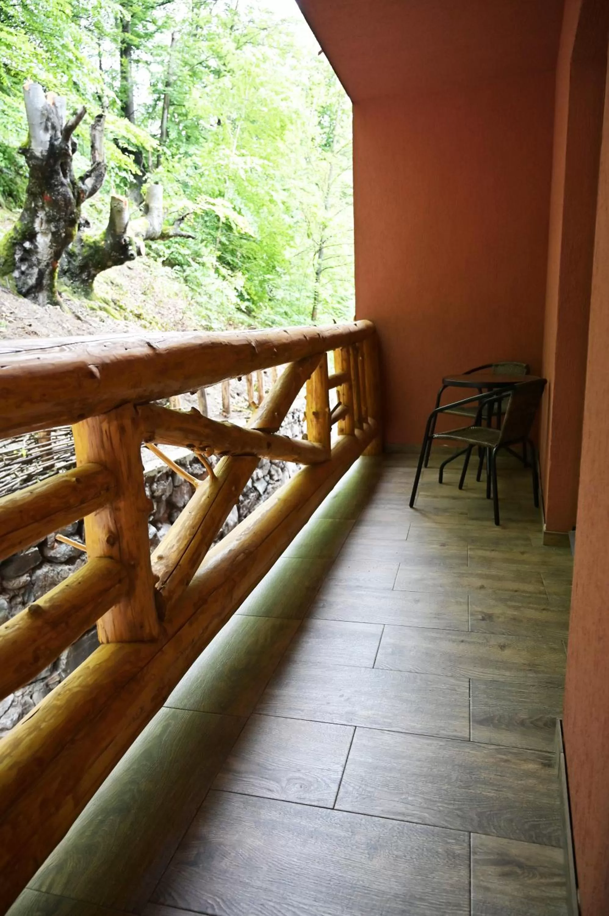 Day in Conacul Radacinilor