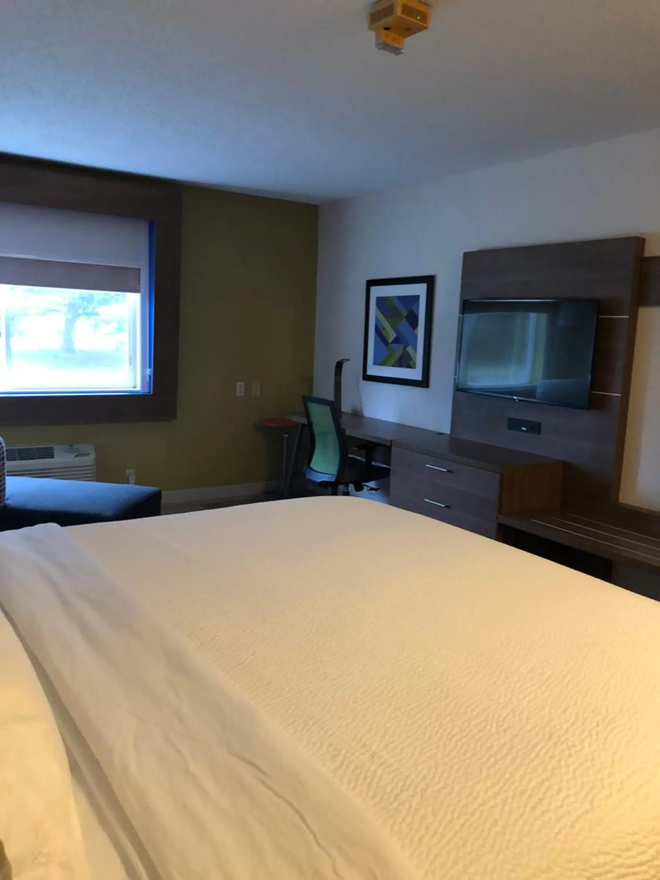 Photo of the whole room, Bed in Holiday Inn Express Mt. Vernon, an IHG Hotel