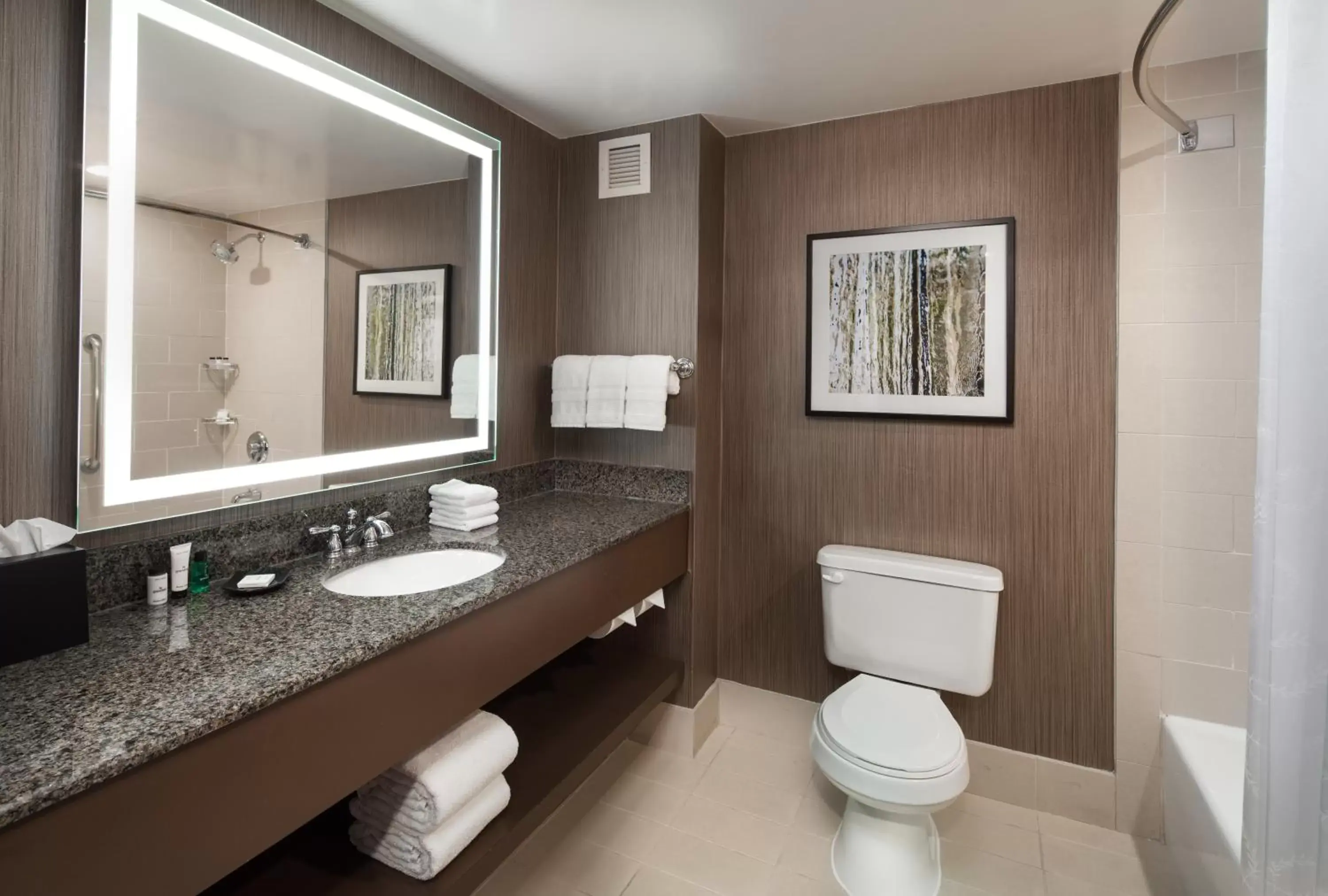 Toilet, Bathroom in Sheraton Agoura Hills Hotel