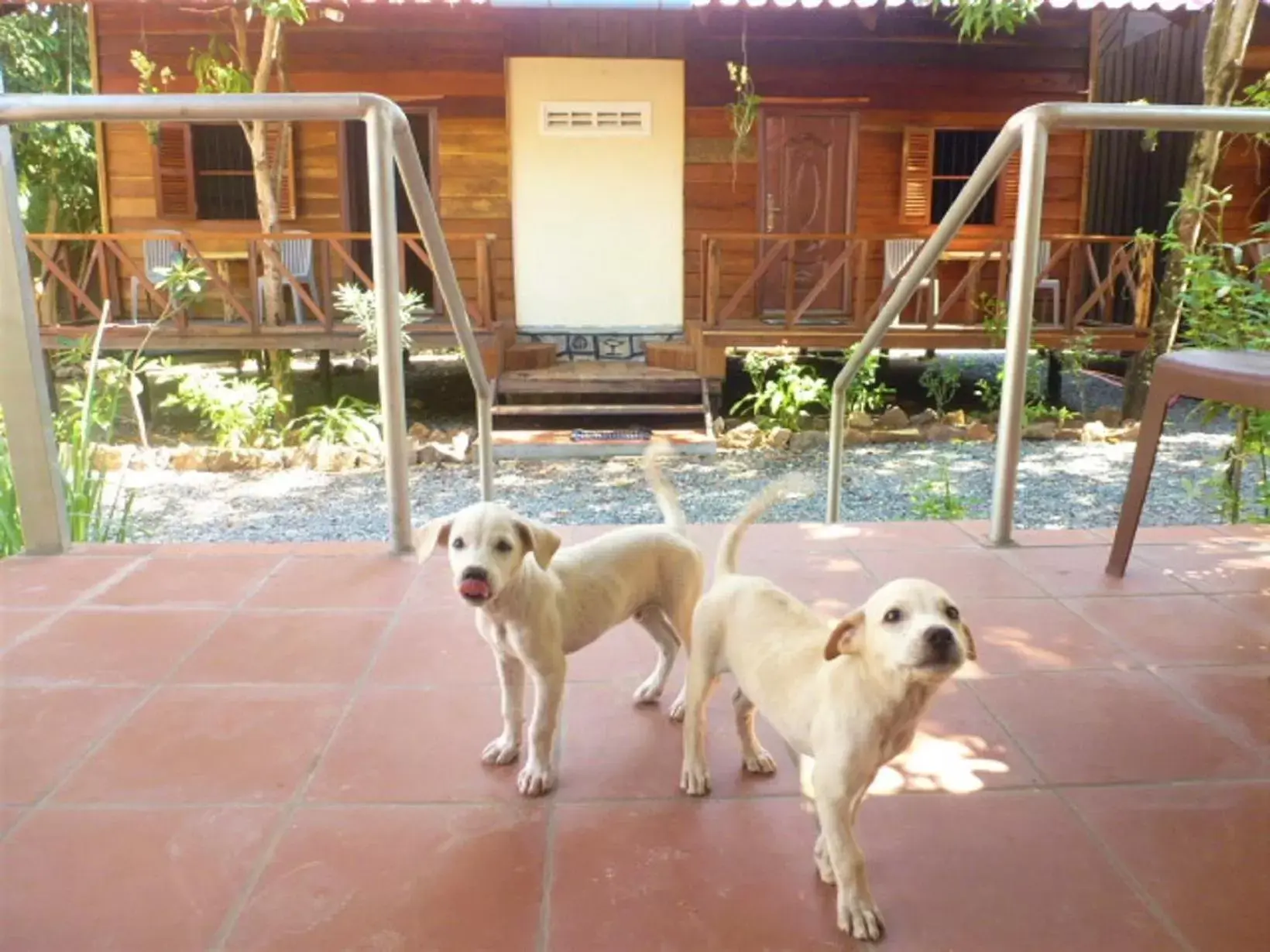 Property building in Green Mango Bungalows Property building in Green Mango Bungalows