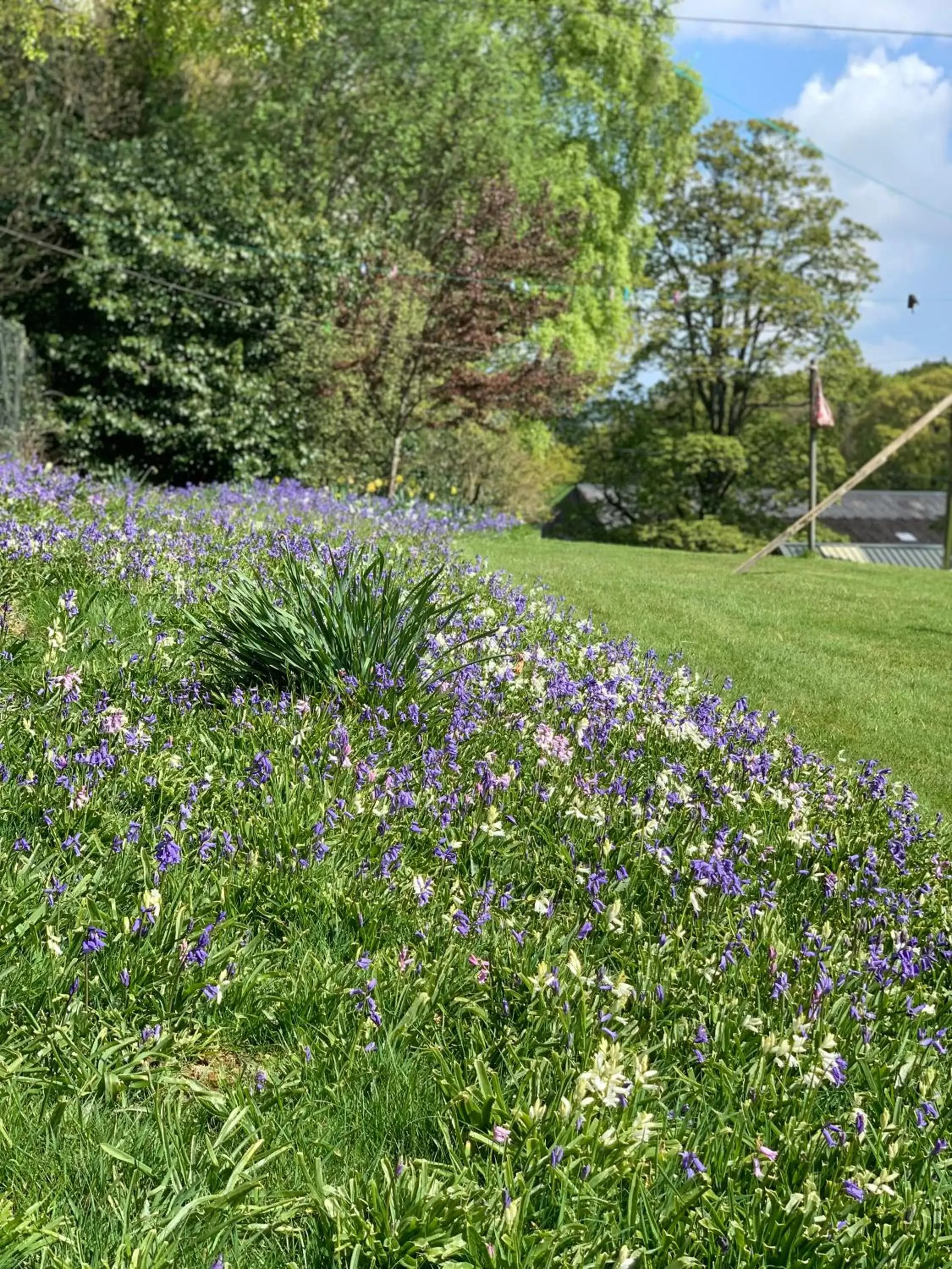 Garden in West Plean House