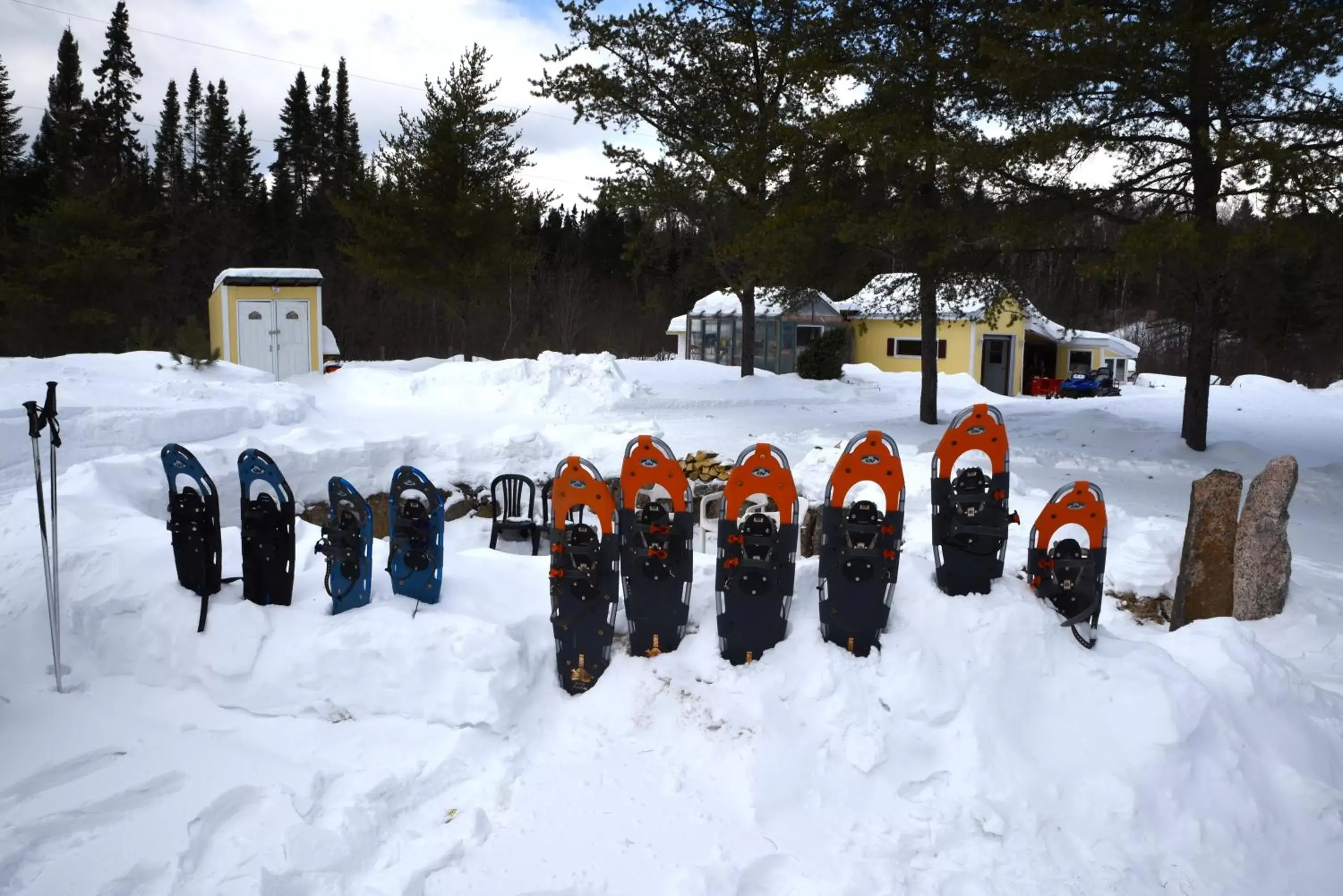 Activities, Winter in Gîte de la Montagne Enchantée