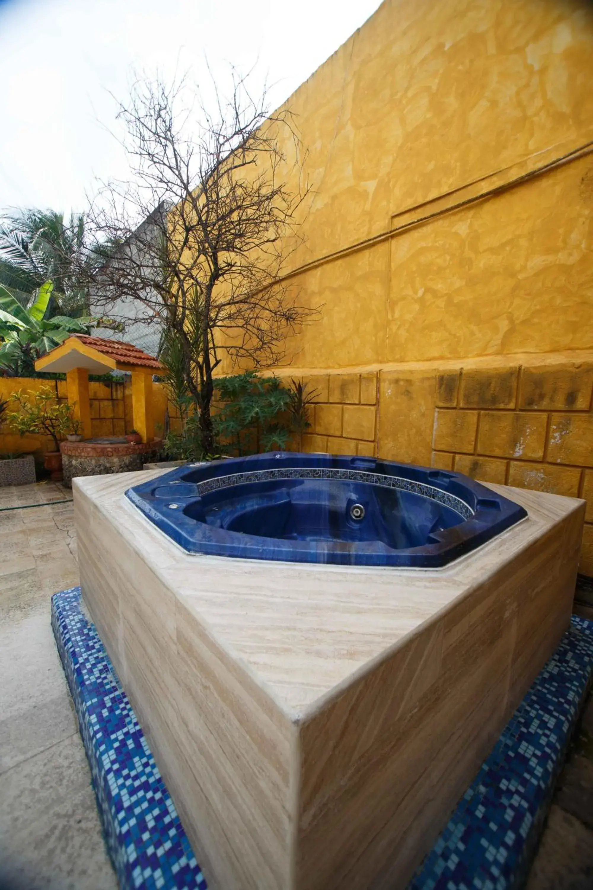 Hot Tub, Swimming Pool in Hotel La Casona Real