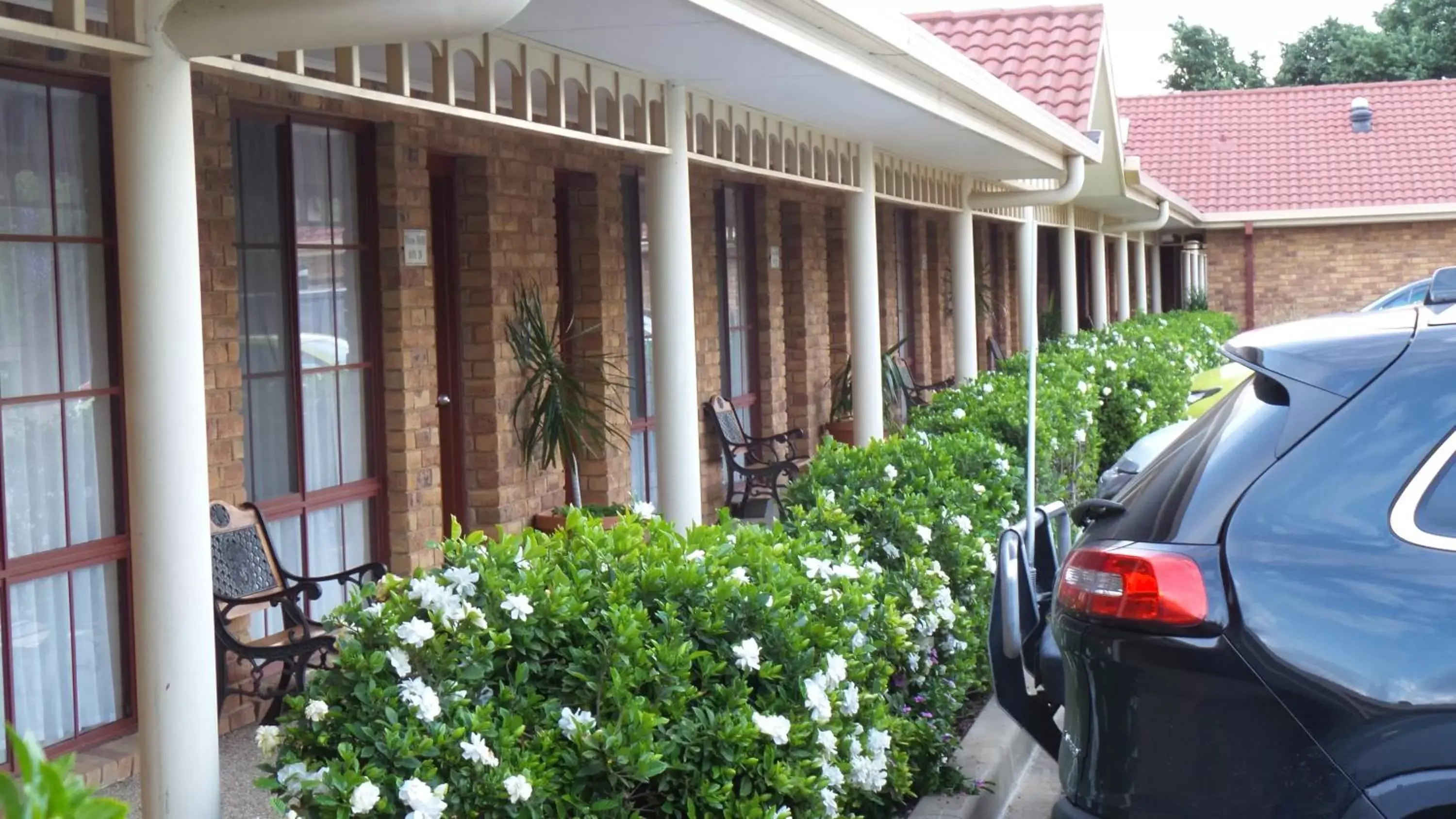 Garden in Best Western Ambassador Motor Inn & Apartments