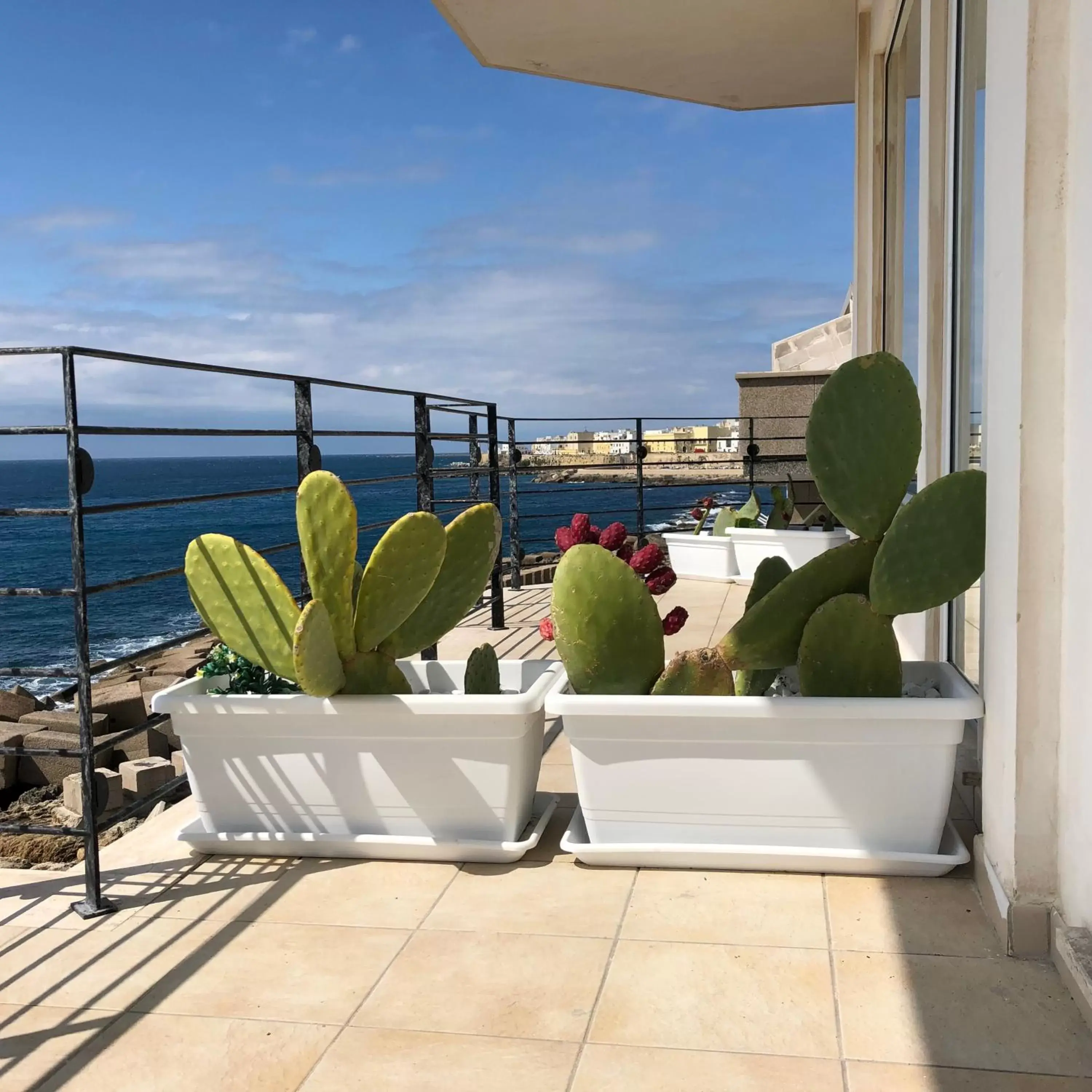 Balcony/Terrace in Salento Palace Bed & Breakfast