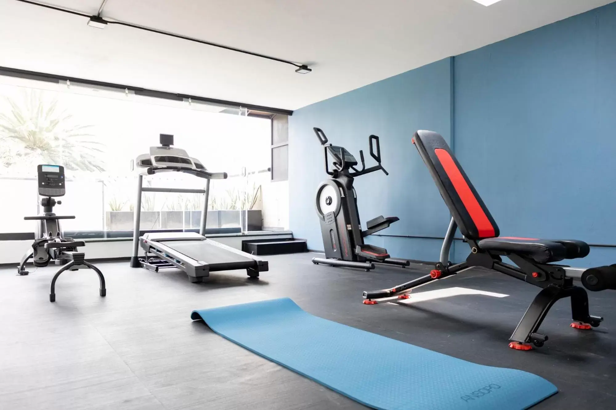 Fitness centre/facilities, Fitness Center/Facilities in Capitalia - Apartments - Anzures