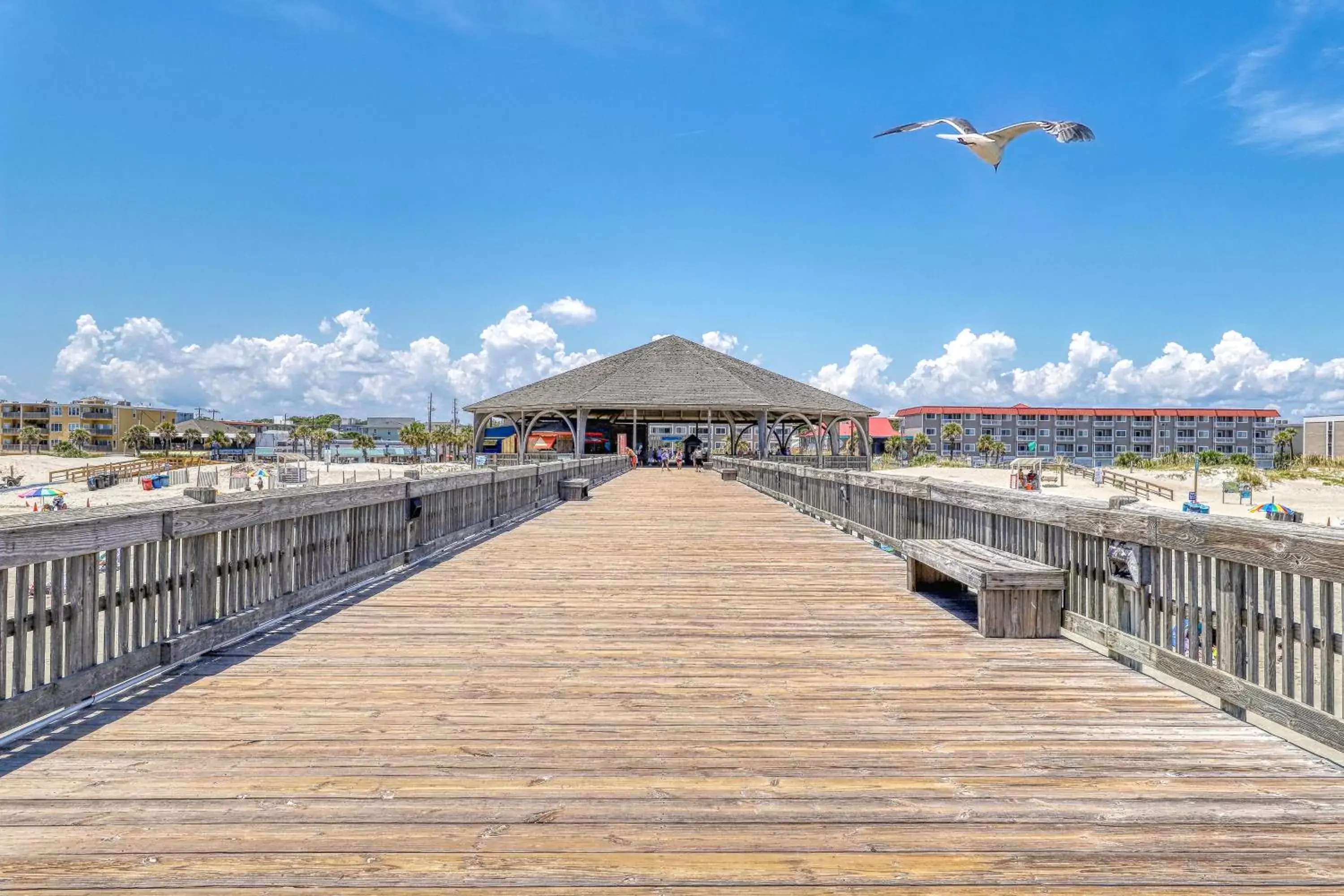 Tybee Turtle