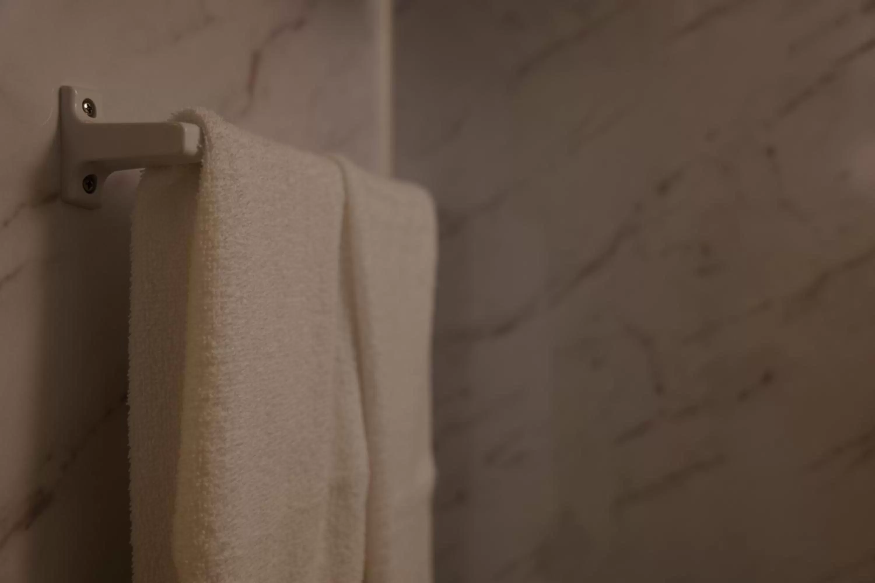 Toilet in 花築浅草和心ホテル