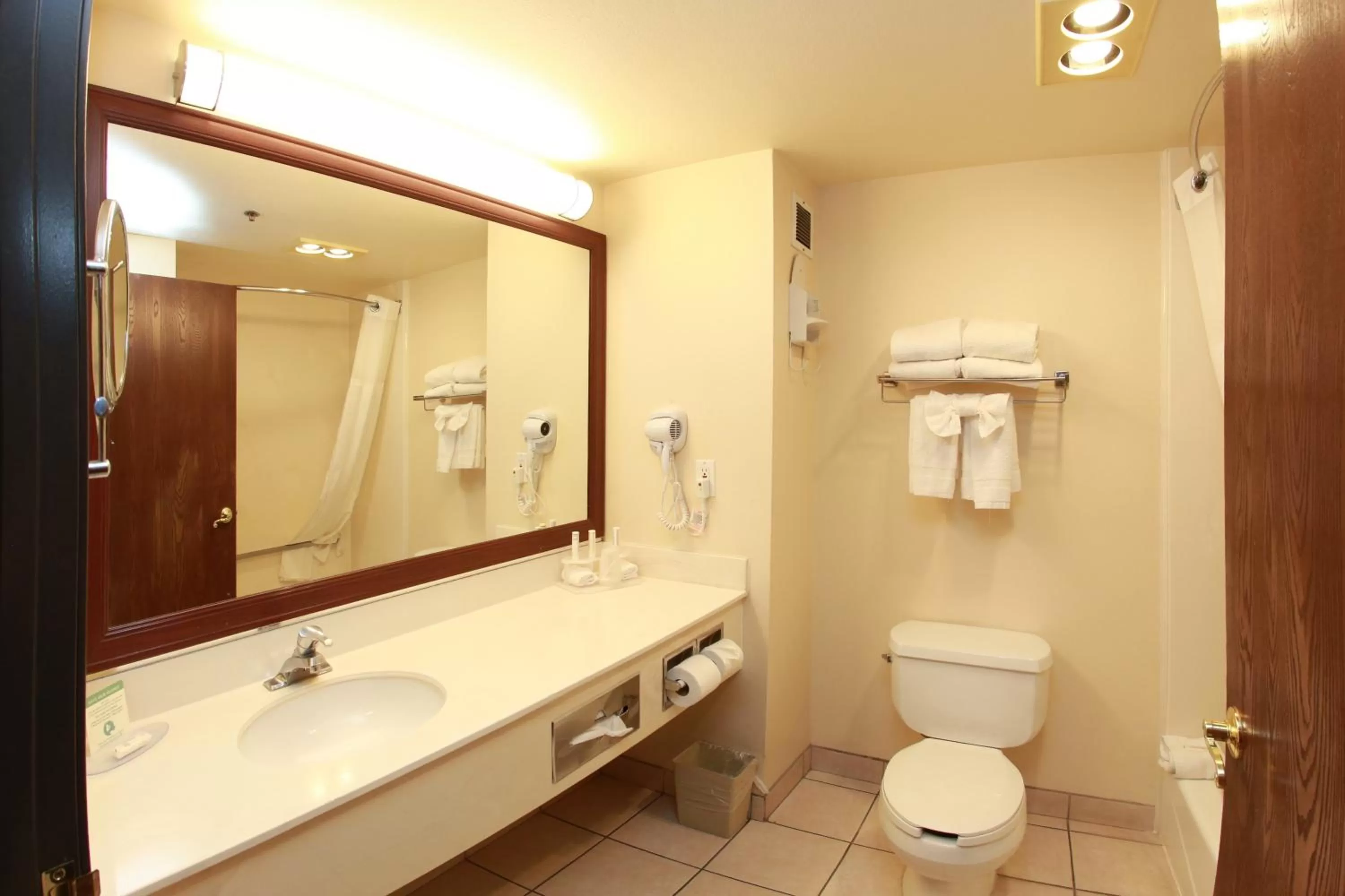 Shower in Ramada by Wyndham Fresno Northwest