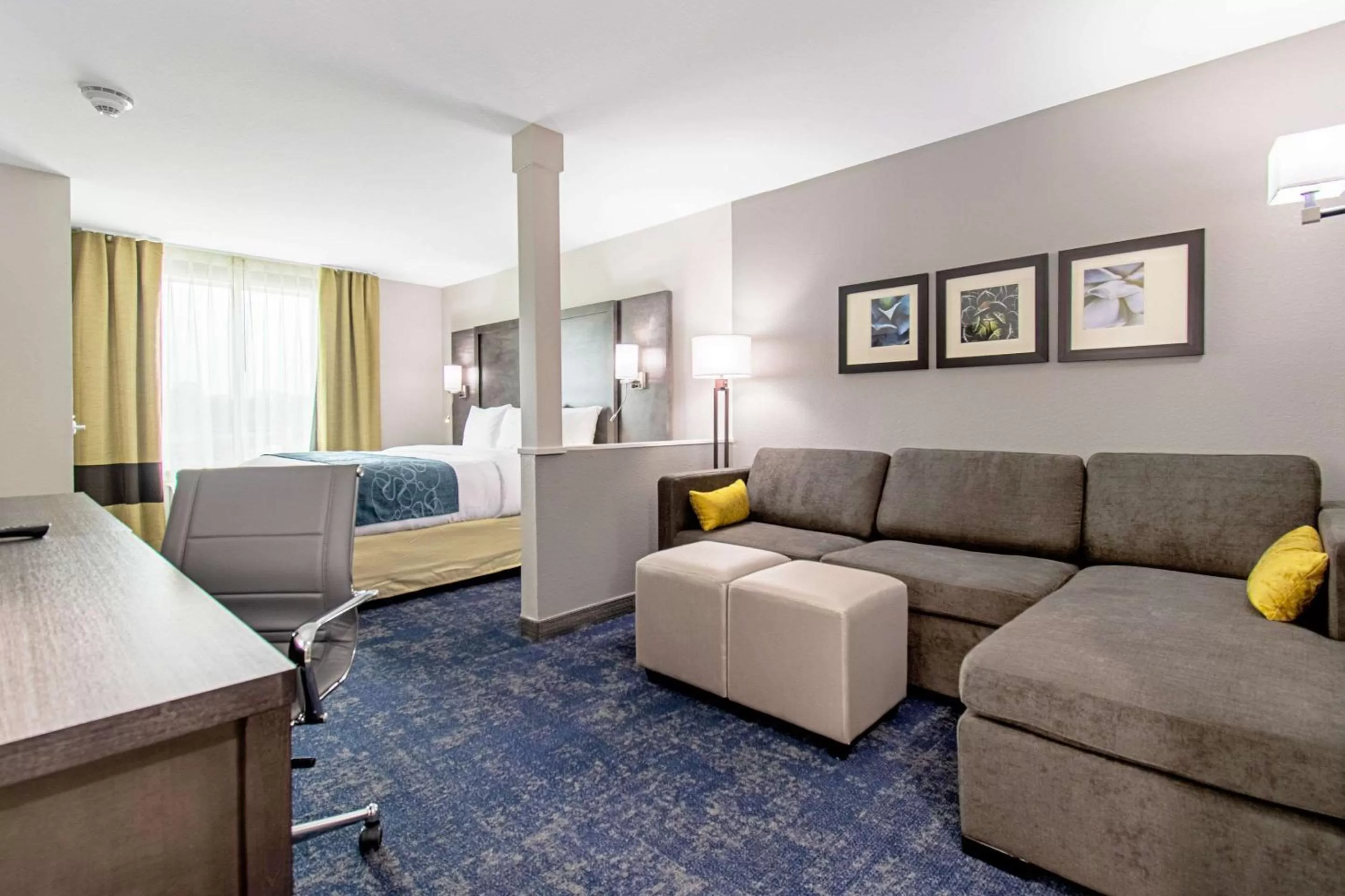 Photo of the whole room in Comfort Suites Humble Houston IAH