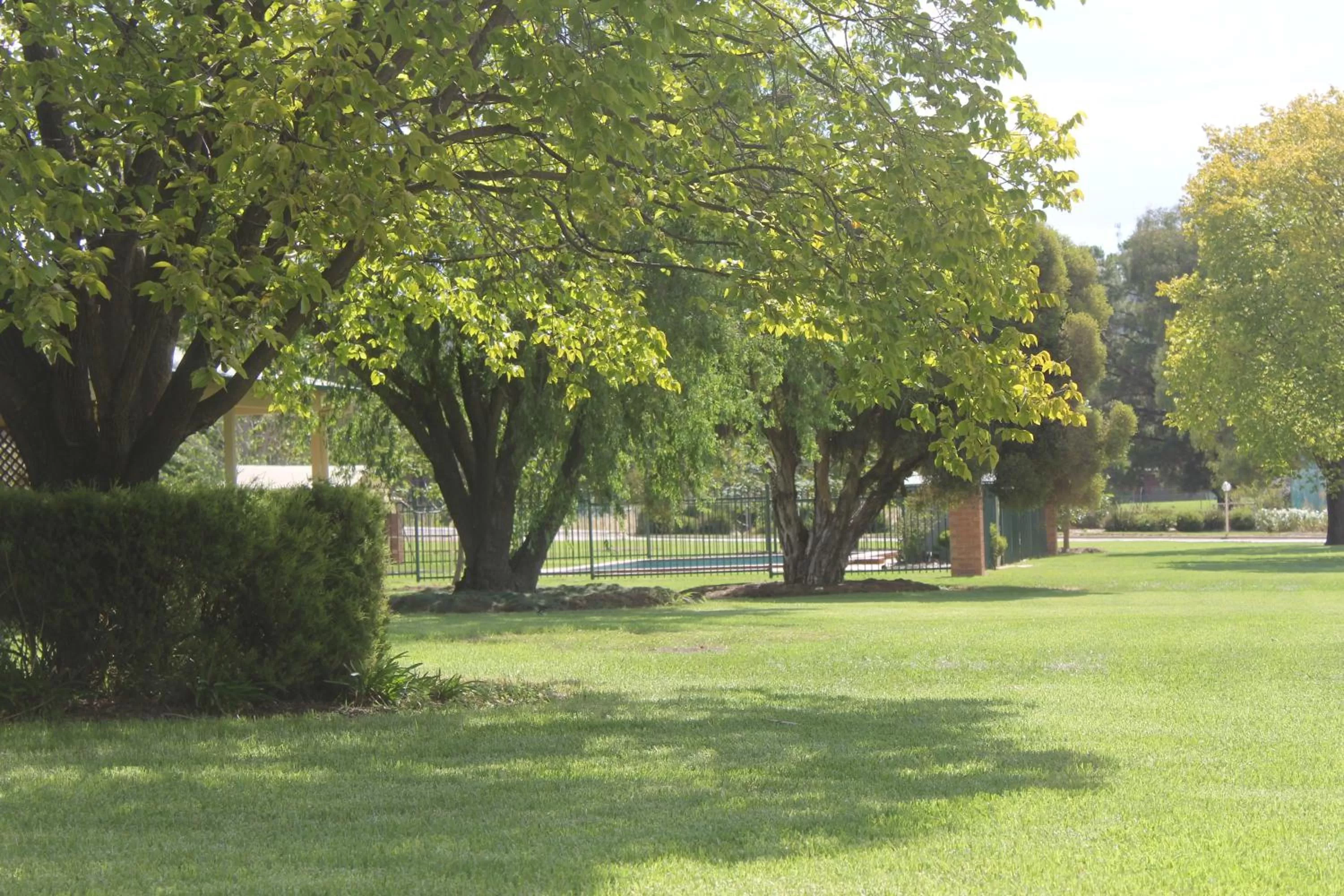 Garden in Golfview Motor Inn