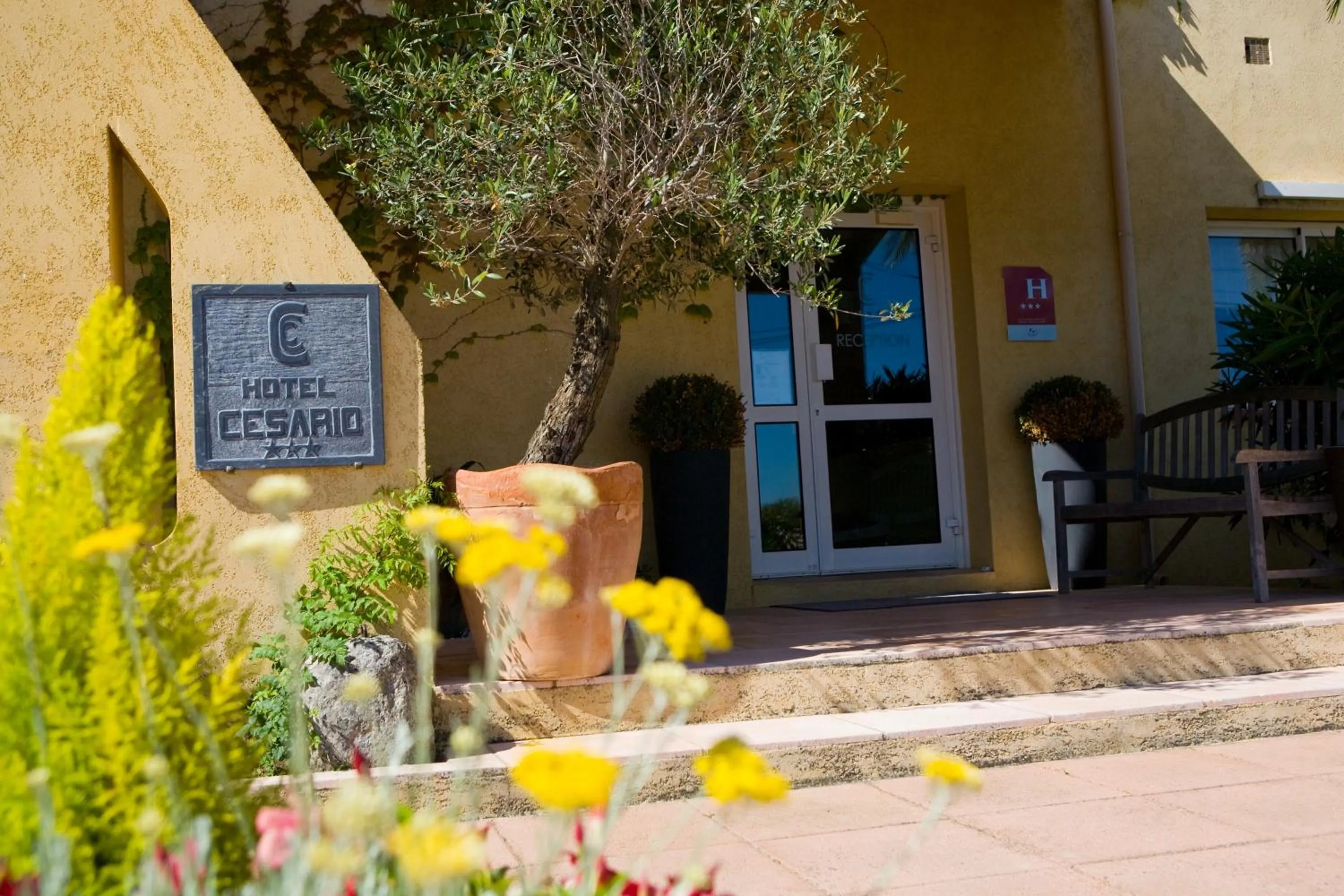 Property building in Hotel Cesario