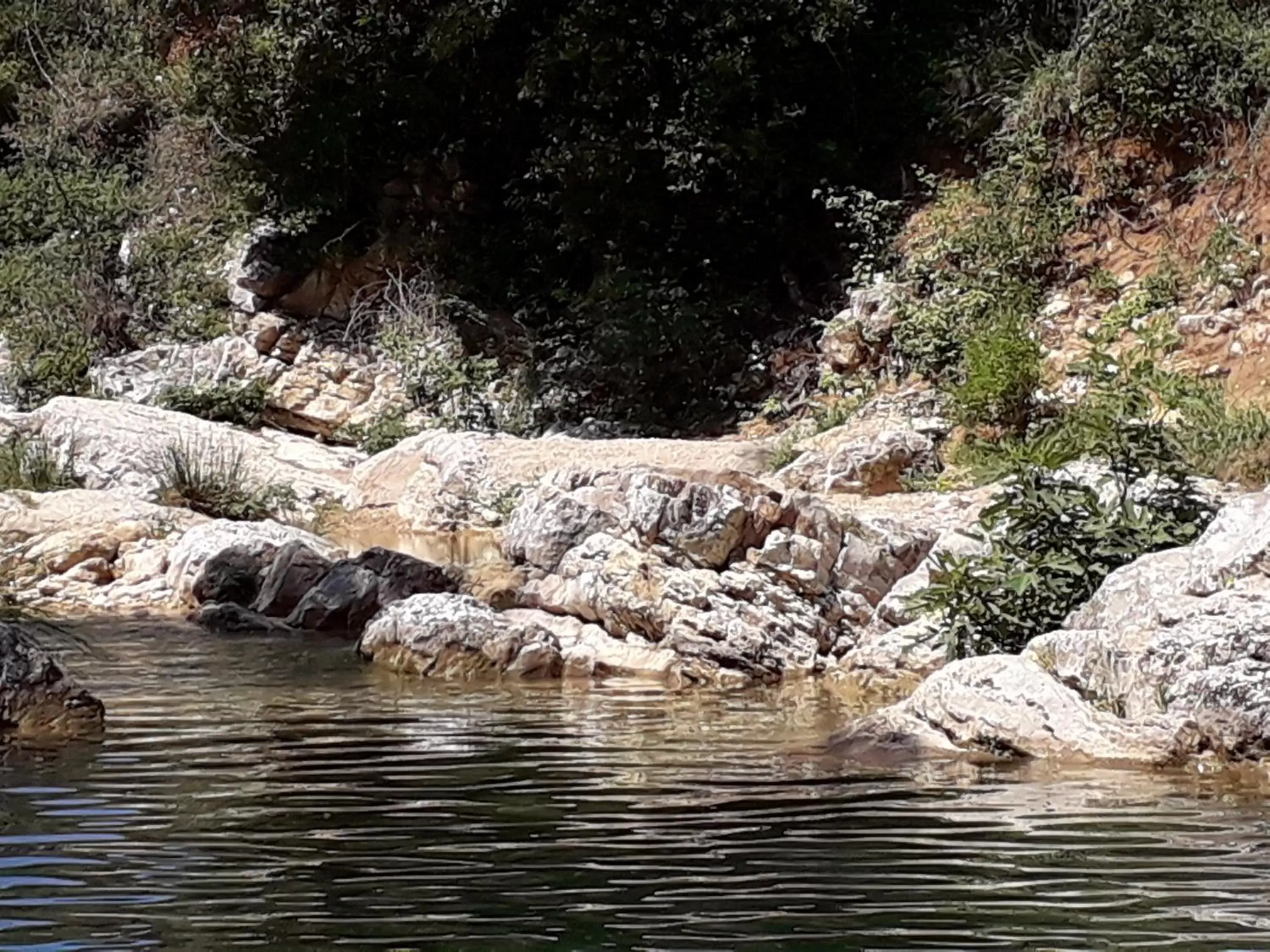 Natural Landscape in La Villa Provençale