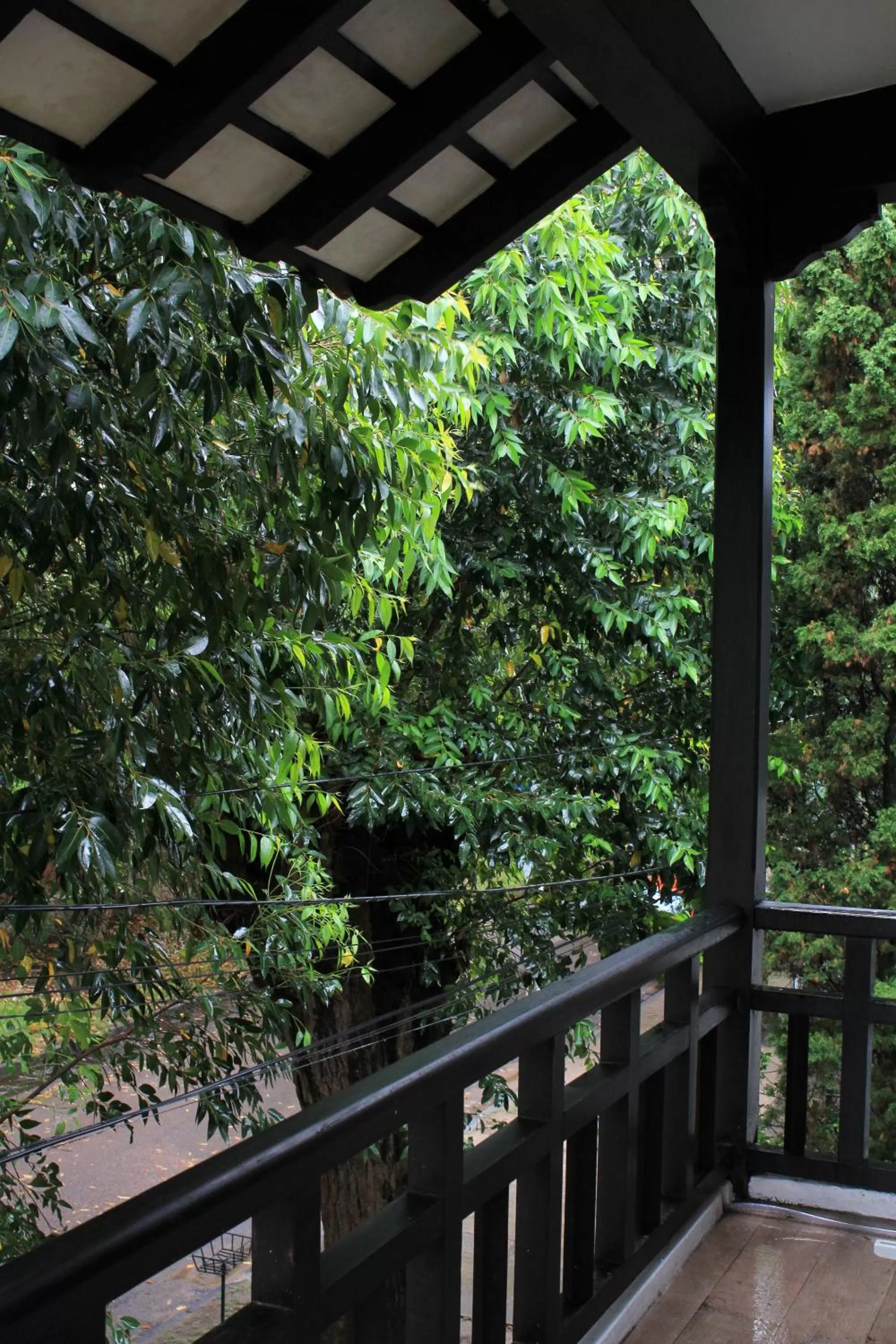 Balcony/Terrace in Santoral Restaurante y Posada Pet Friendly