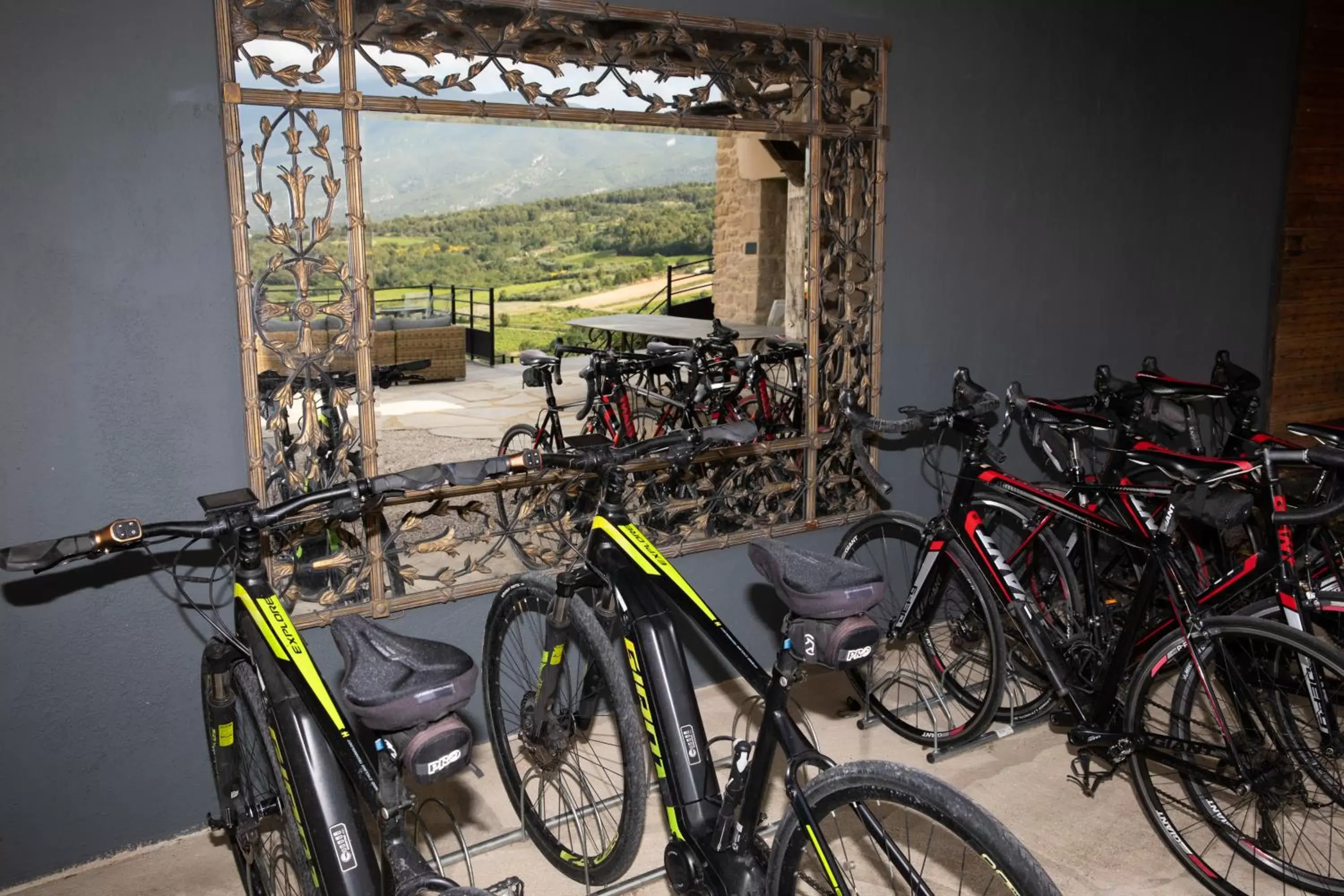 Activities, Biking in Hôtel La Maison de Crillon