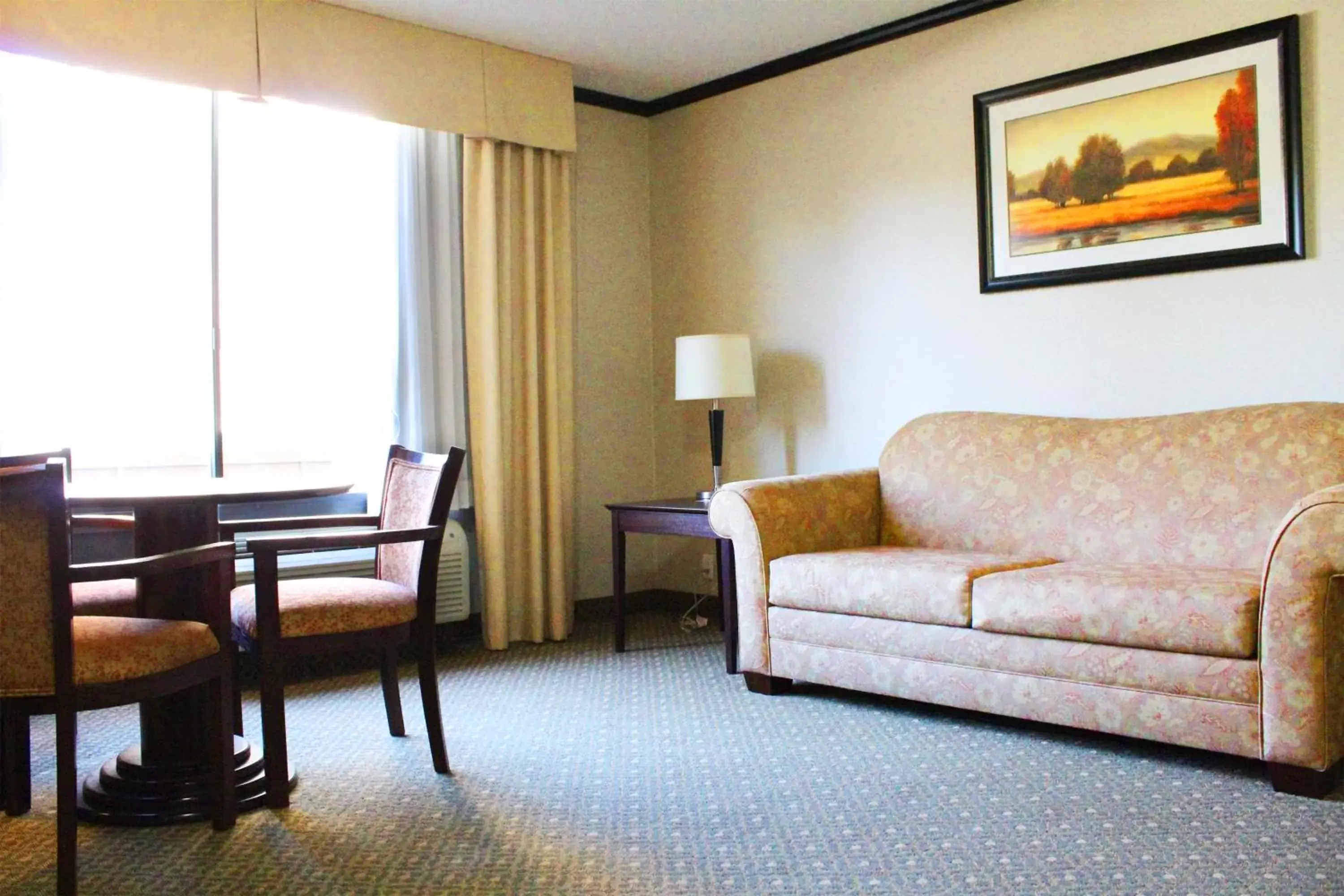 Living room, Seating Area in Hotel Burbank