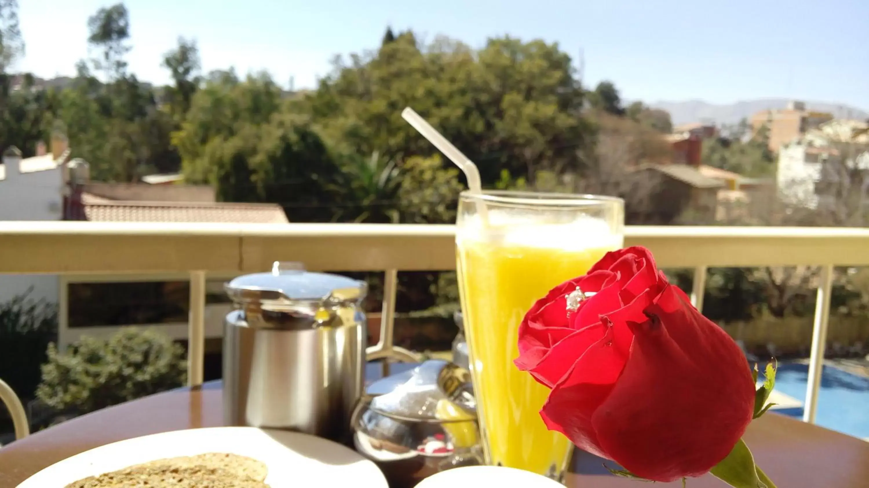 Garden view, Drinks in Hotel Los Ceibos