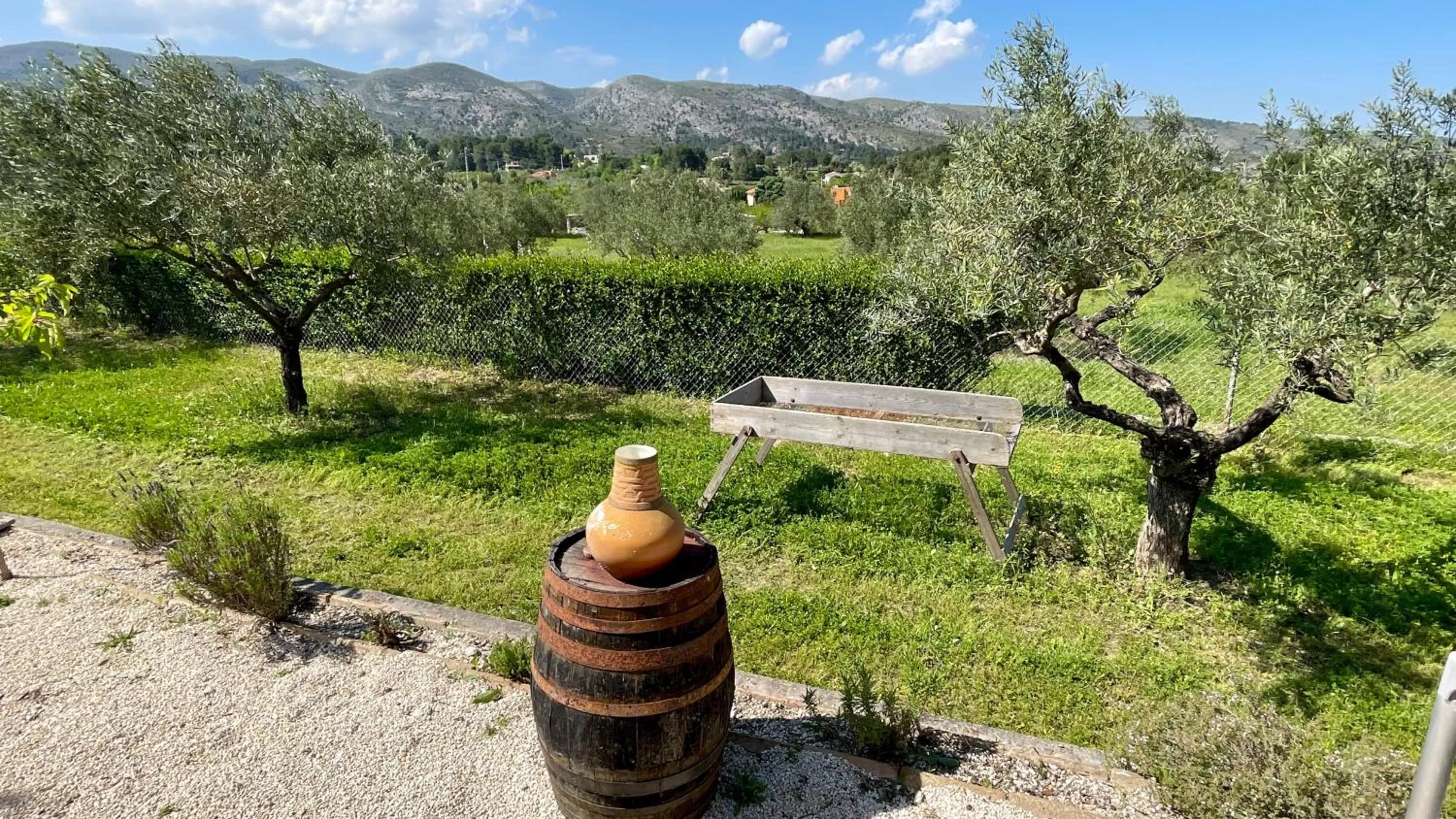 Decorative detail in Finca La Higuera - Boutique B&B