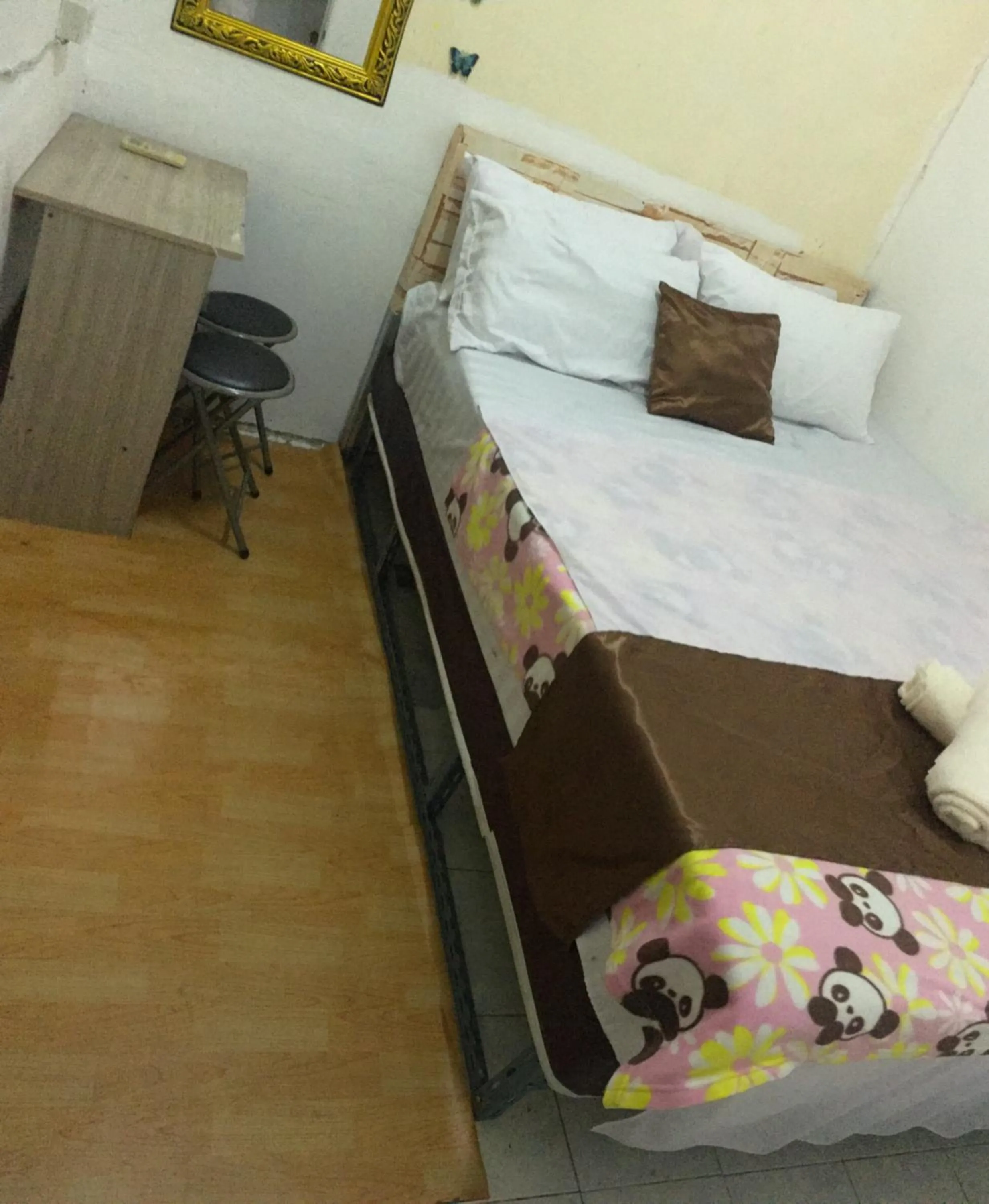Bed in Hostel 24