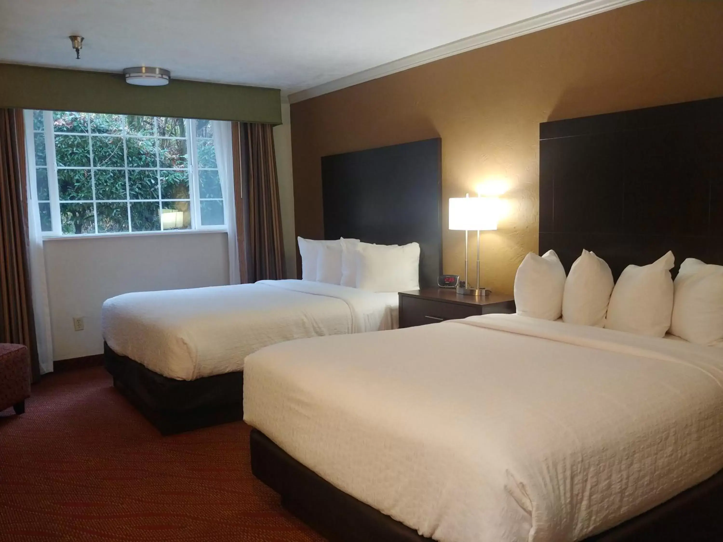 Photo of the whole room, Bed in Best Western Plus Parkway Inn