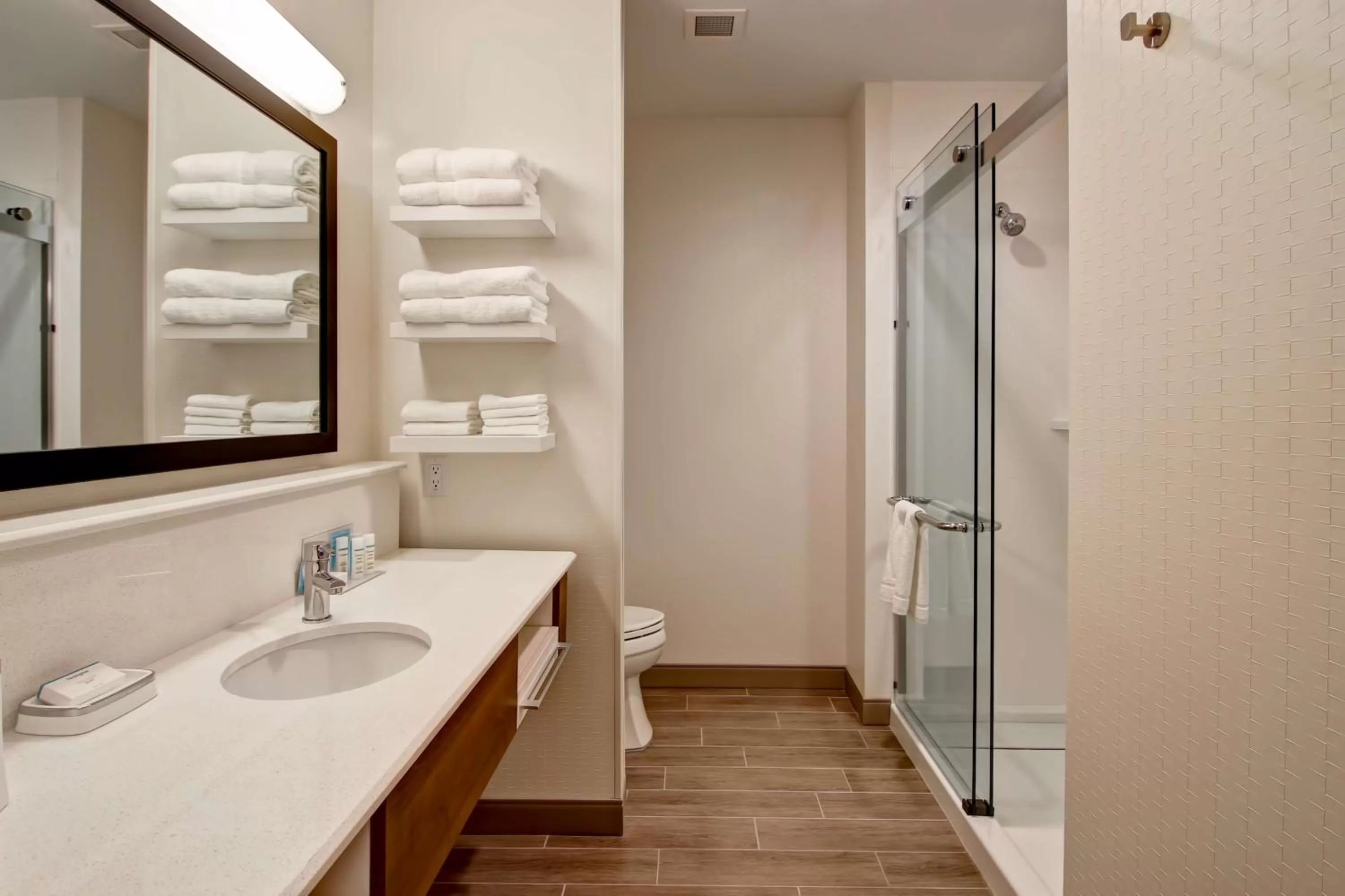 Bathroom in Hampton Inn & Suites by Hilton Grande Prairie