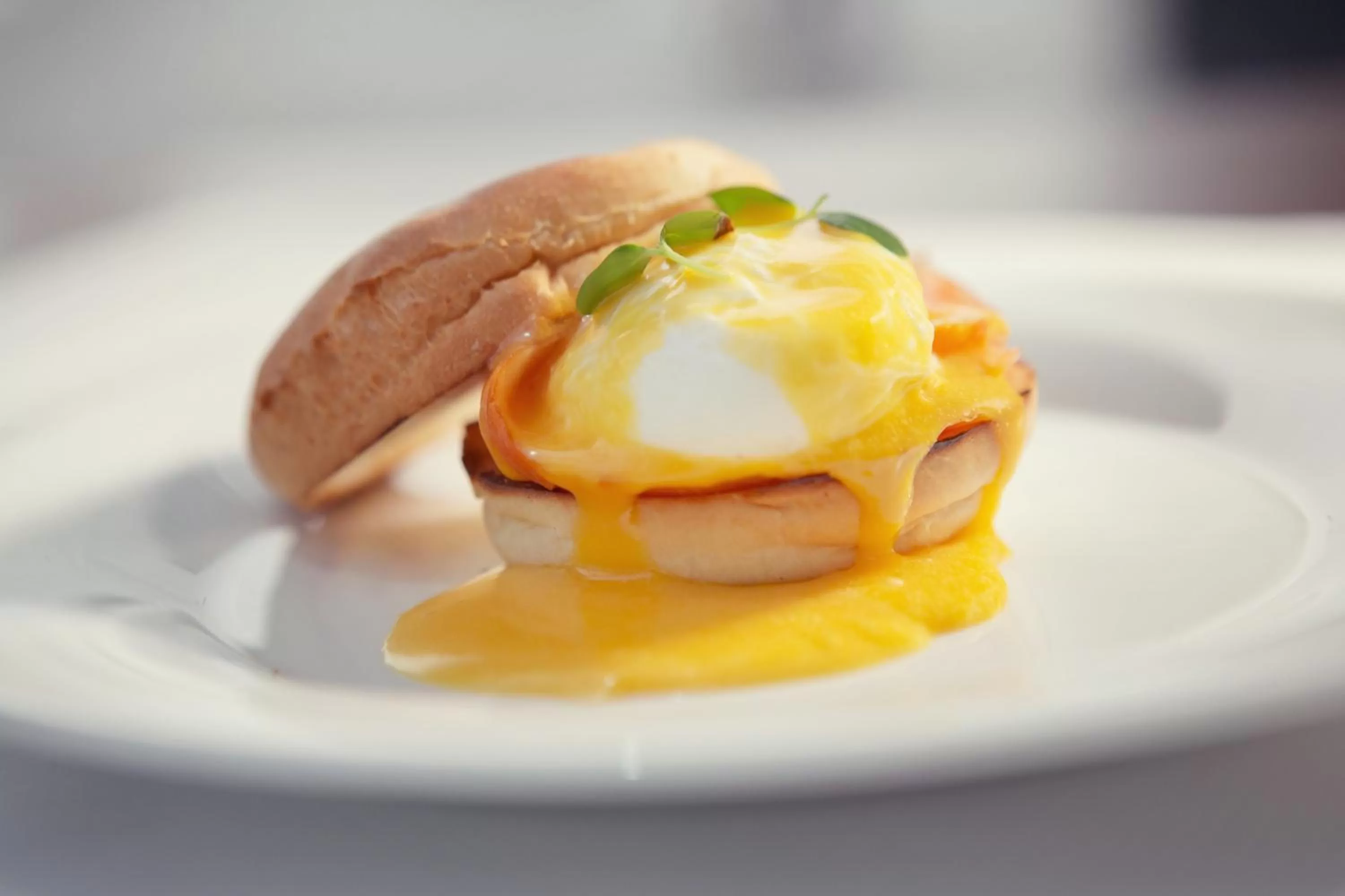 Sheraton Bratislava Hotel