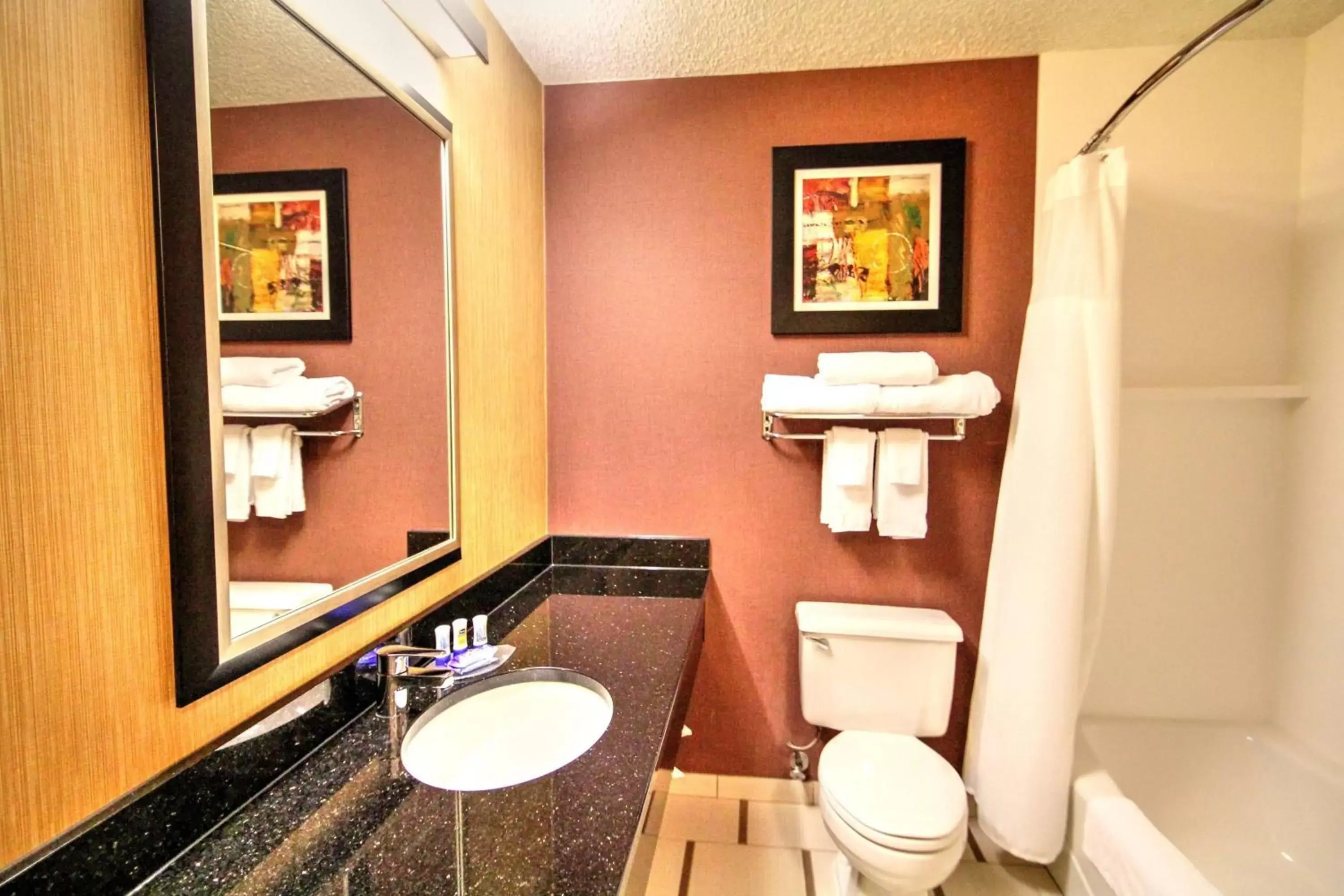 Photo of the whole room, Bathroom in Fairfield Inn Boise Airport