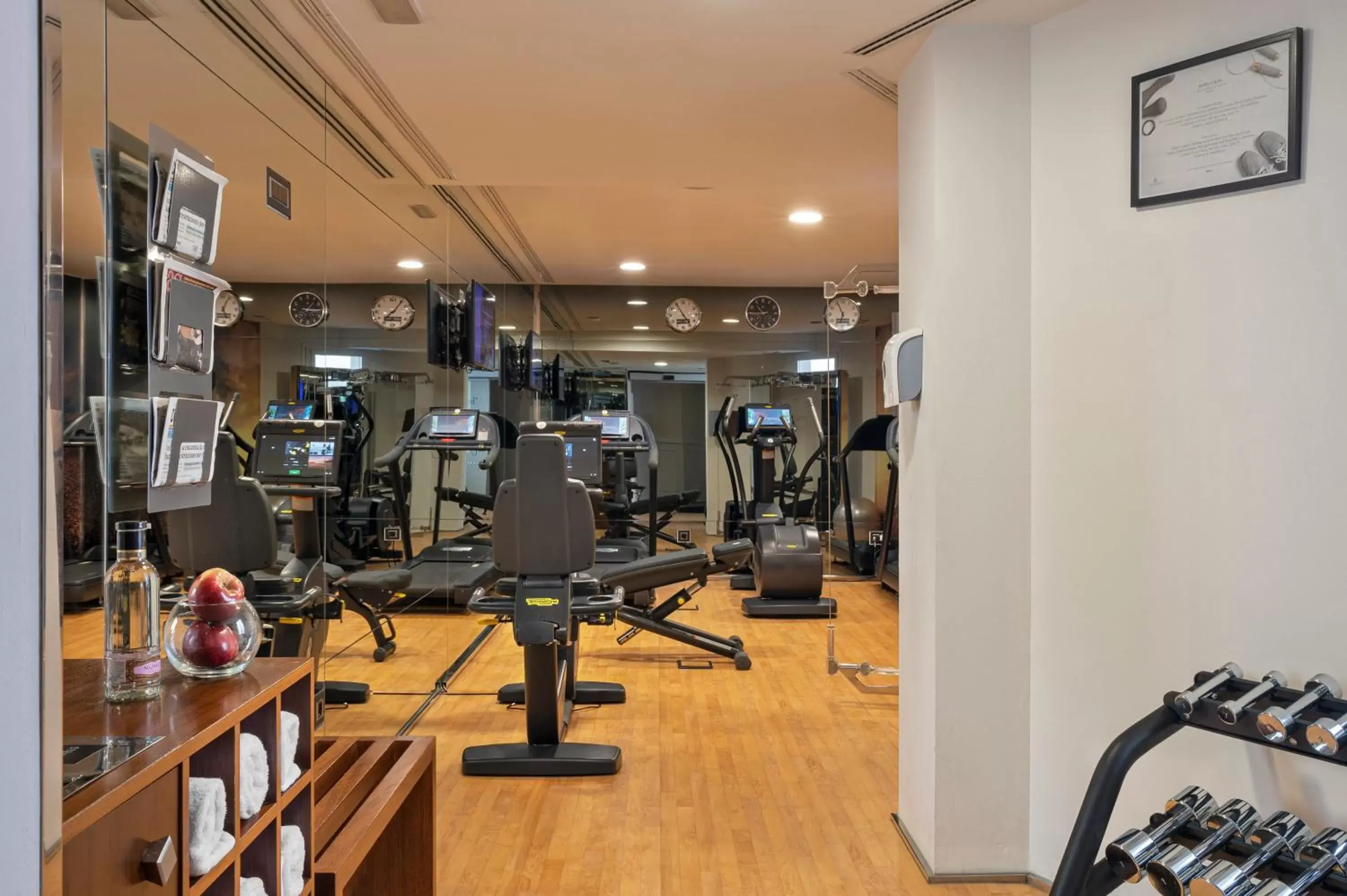 Fitness centre/facilities, Fitness Center/Facilities in Hotel Colón Gran Meliá - The Leading Hotels of the World