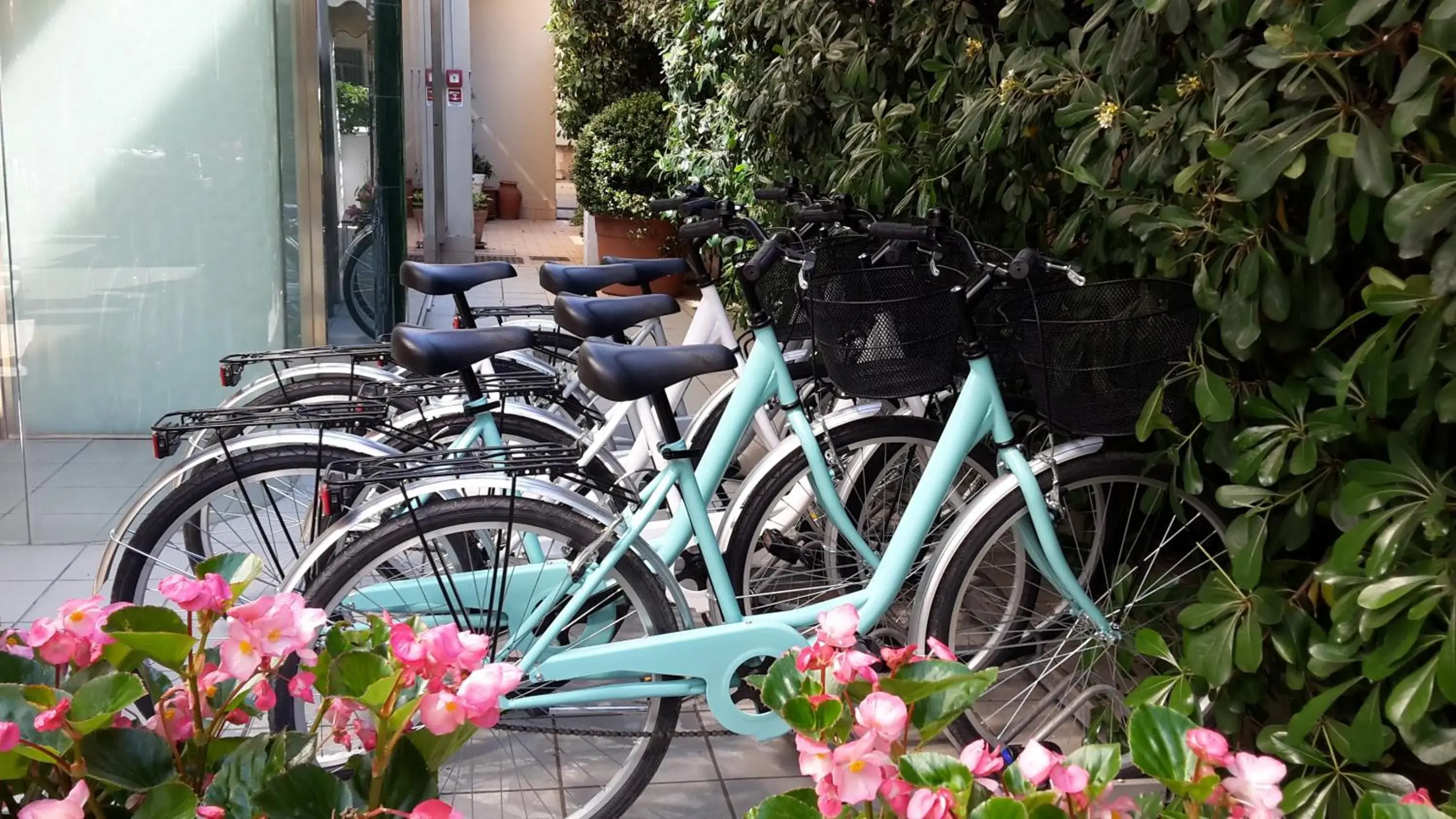 Garden, Biking in ACasaMia WelcHome Hotel