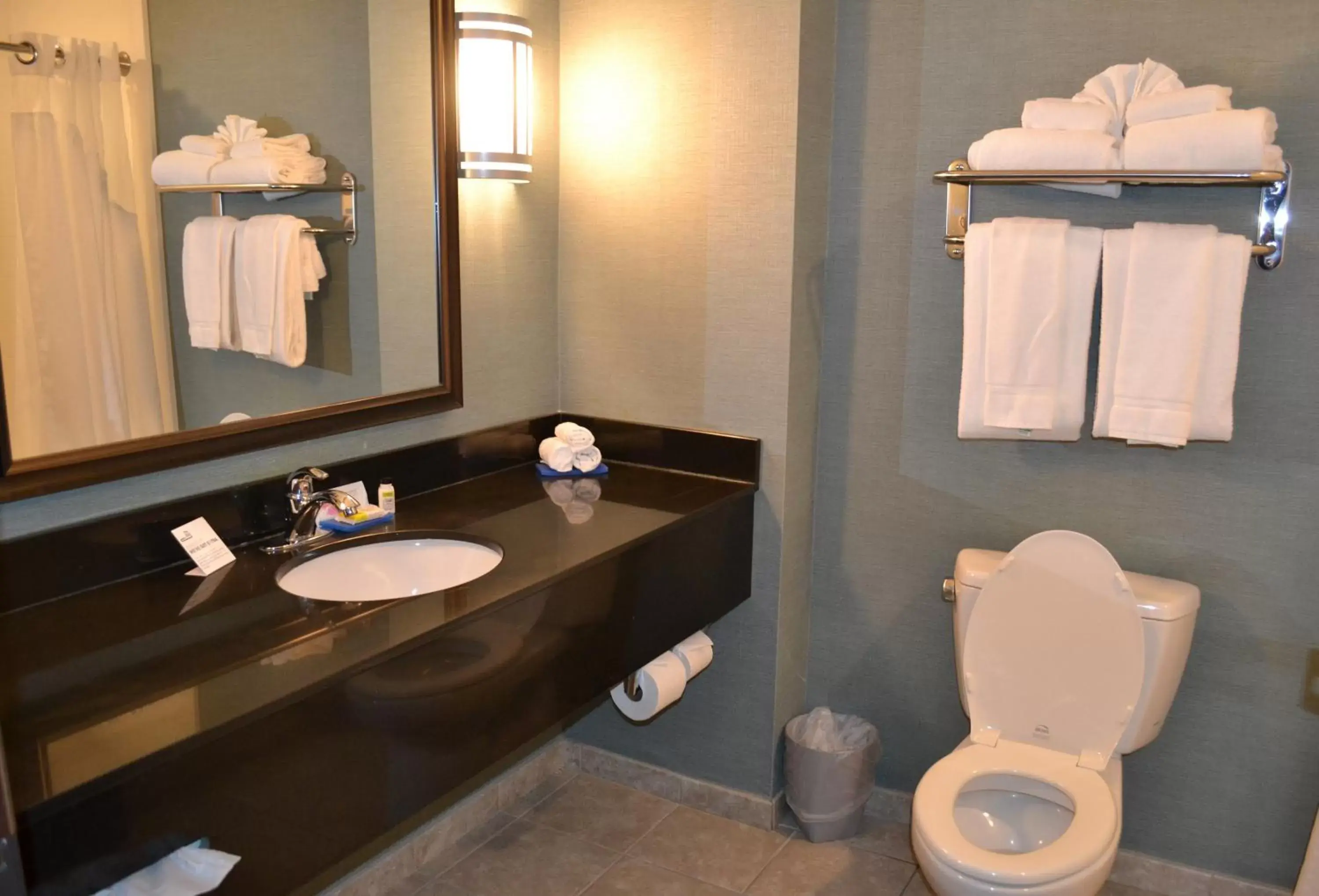 Bathroom in Holiday Inn Express Selinsgrove, an IHG Hotel