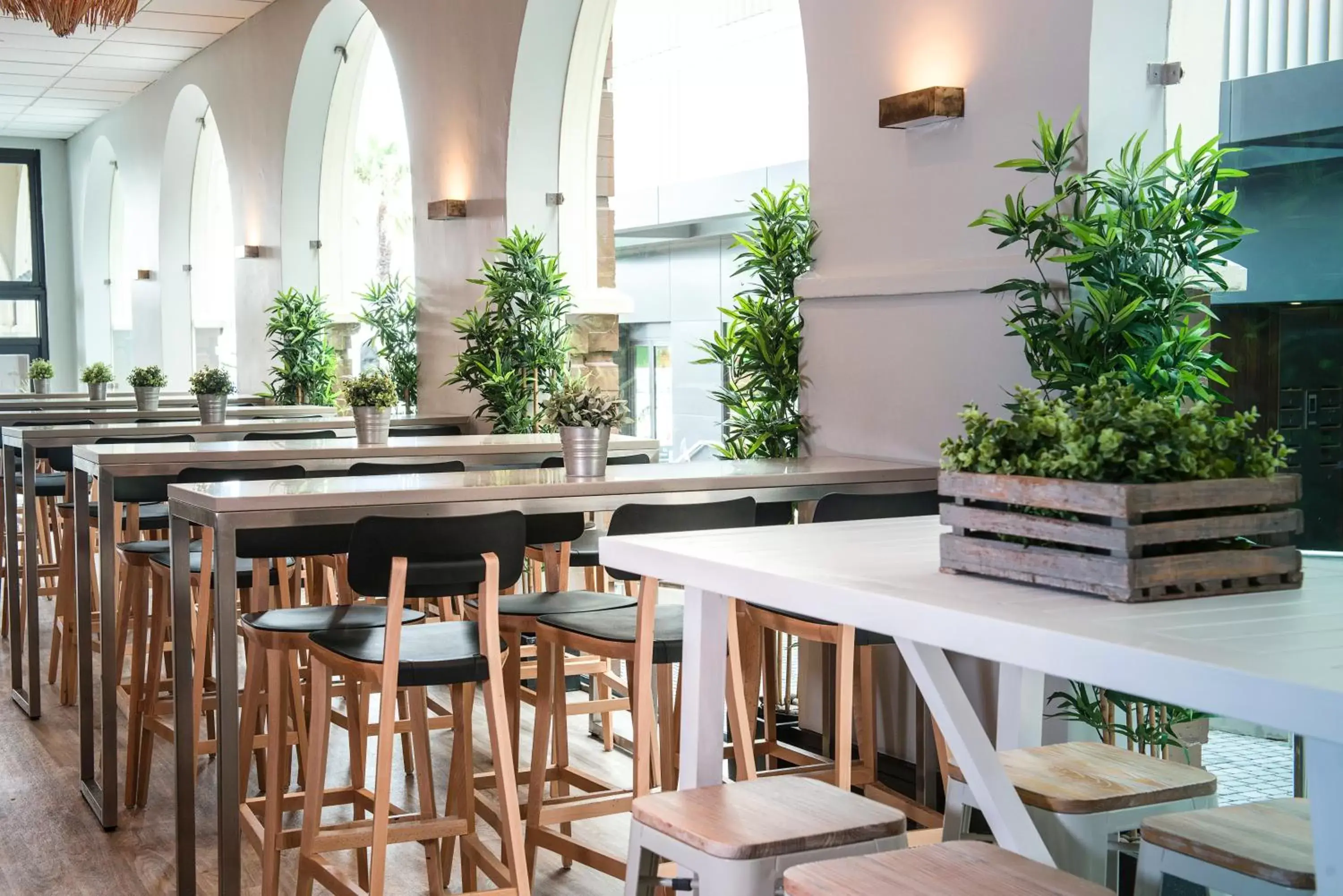 Restaurant/places to eat in Hotel Bondi Restaurant/places to eat in Hotel Bondi