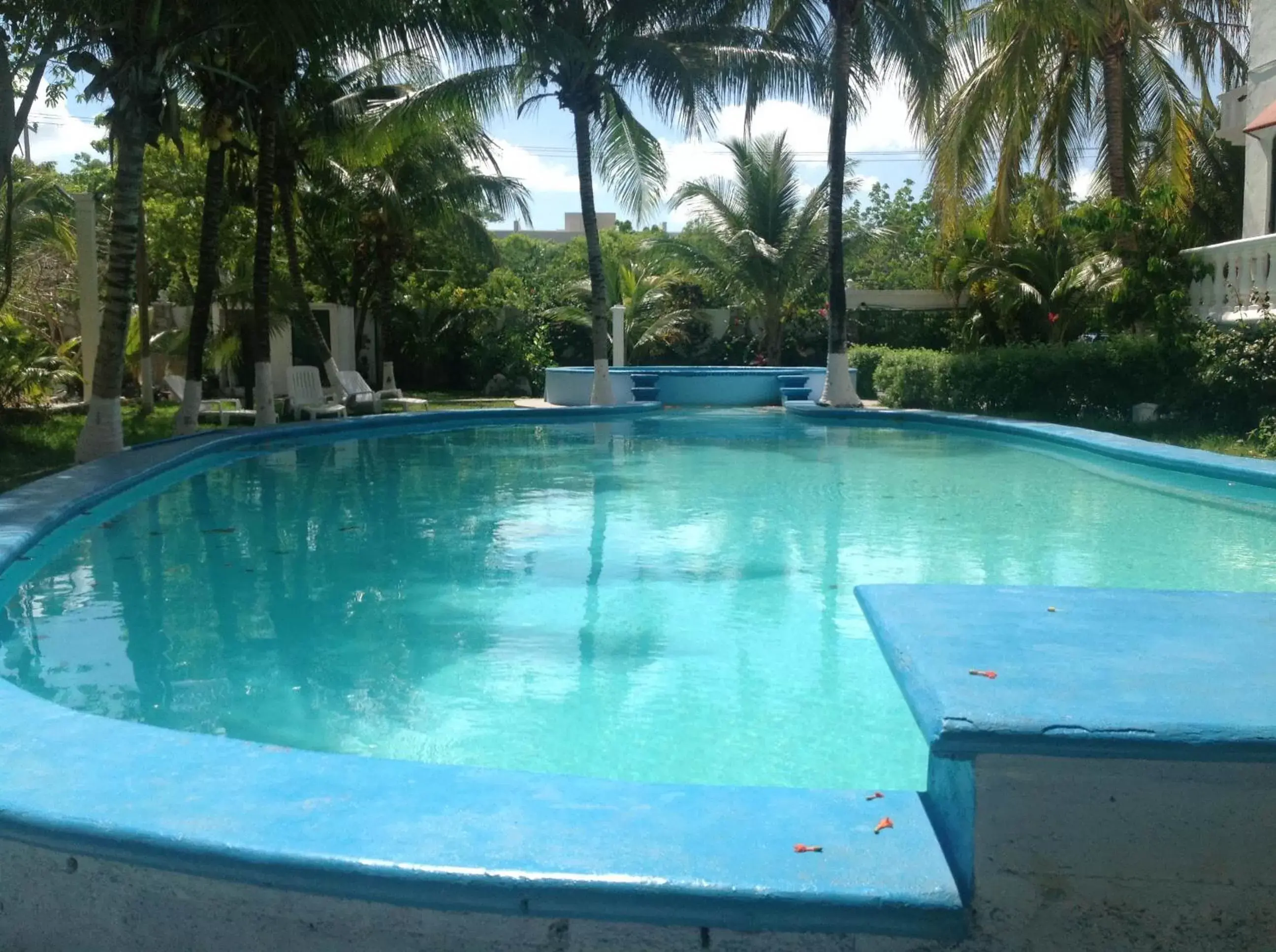 Activities, Swimming Pool in Mansion Giahn Bed & Breakfast