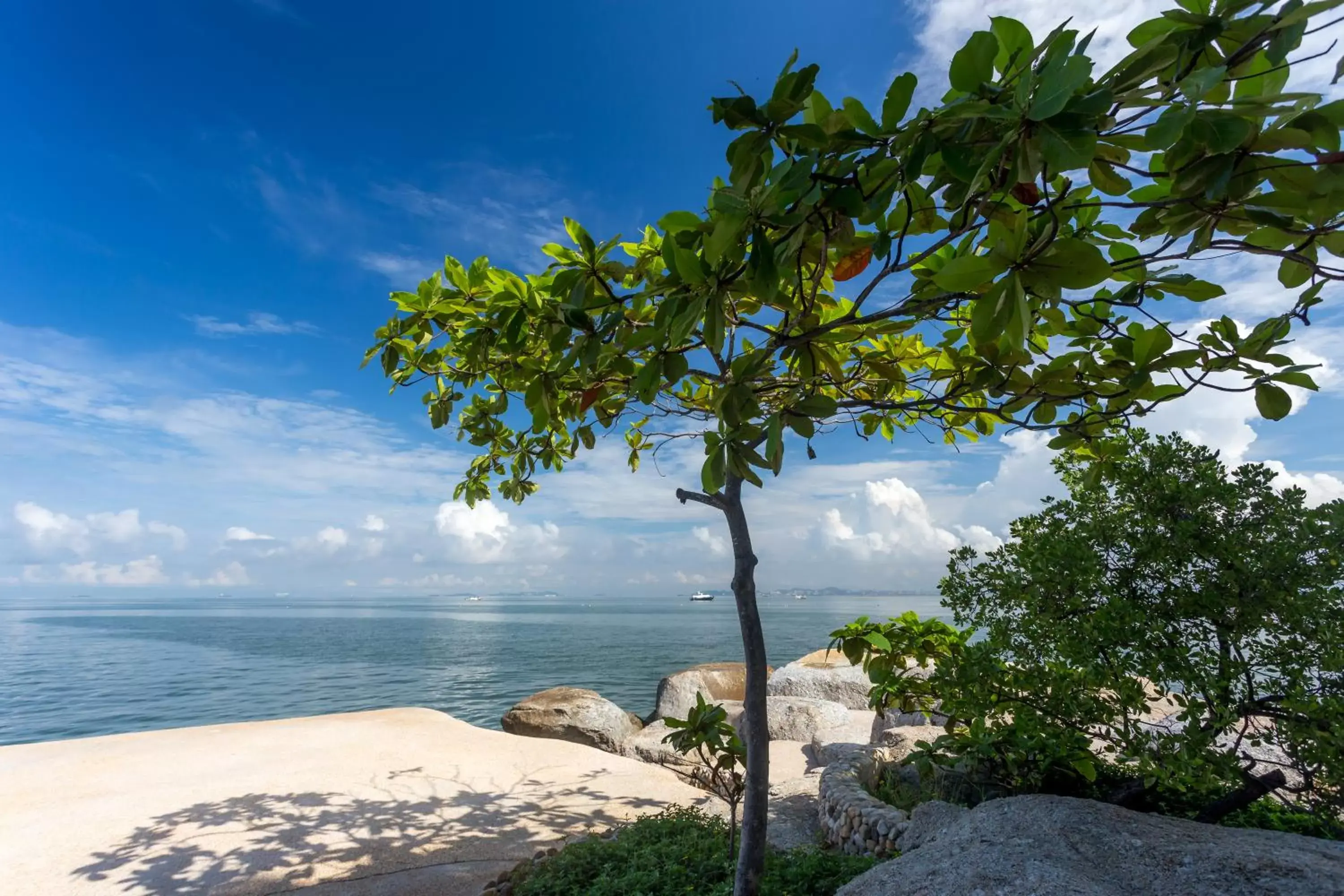 Natural landscape, Beach in Garden Sea View Resort