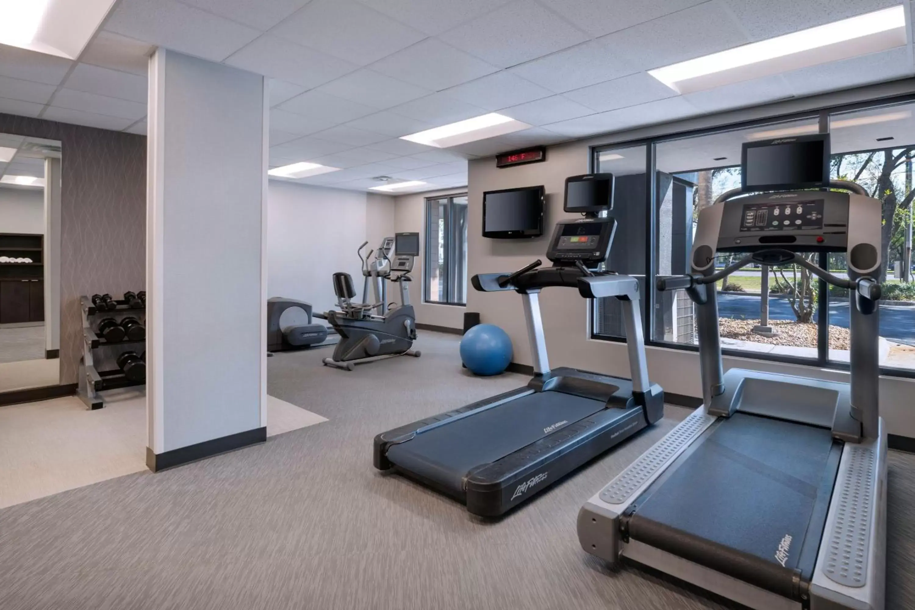 Fitness centre/facilities, Fitness Center/Facilities in Courtyard Tampa North / I-75 Fletcher