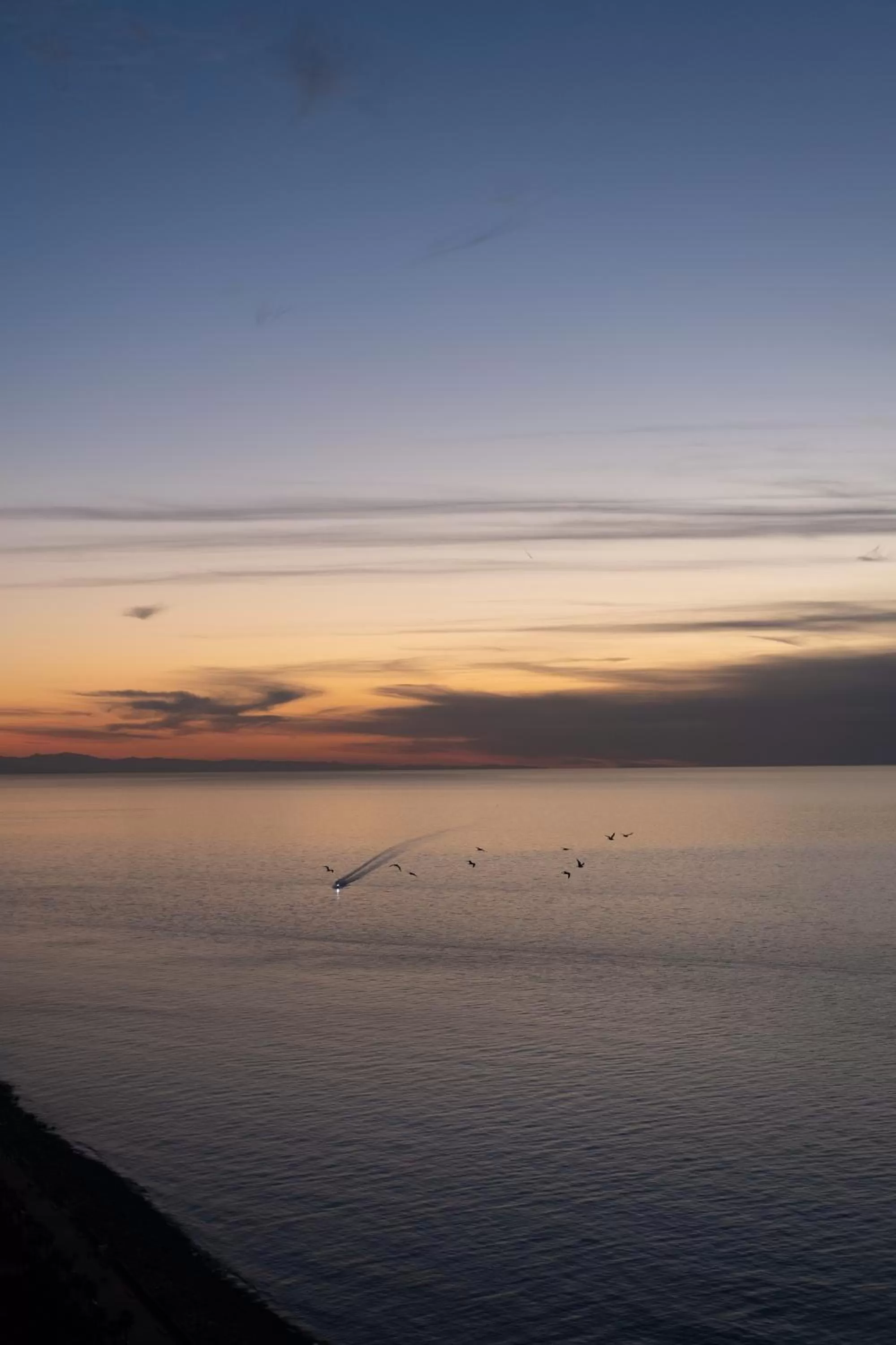 Balcony/Terrace in Kartuli Hotel