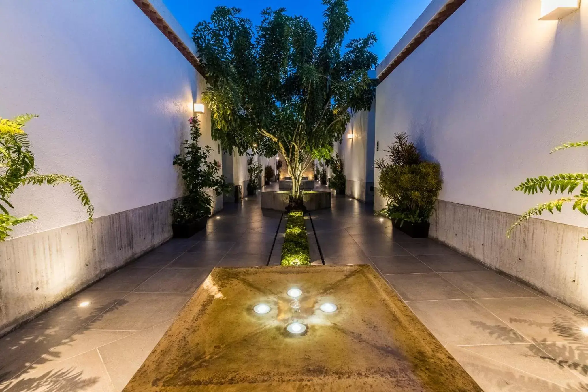 Patio in Marialicia Suites, Hotel Boutique