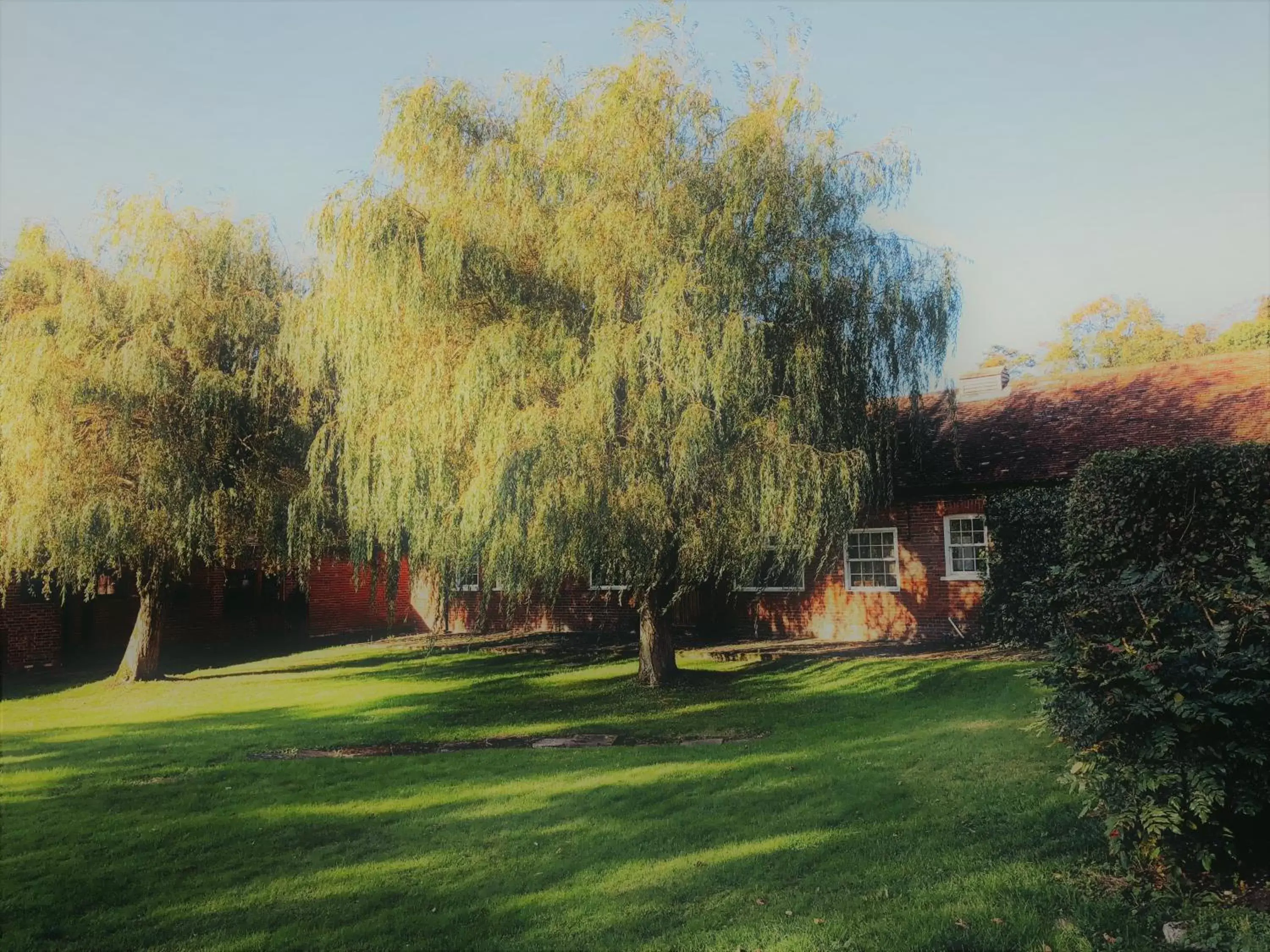 Garden in Beachborough Park