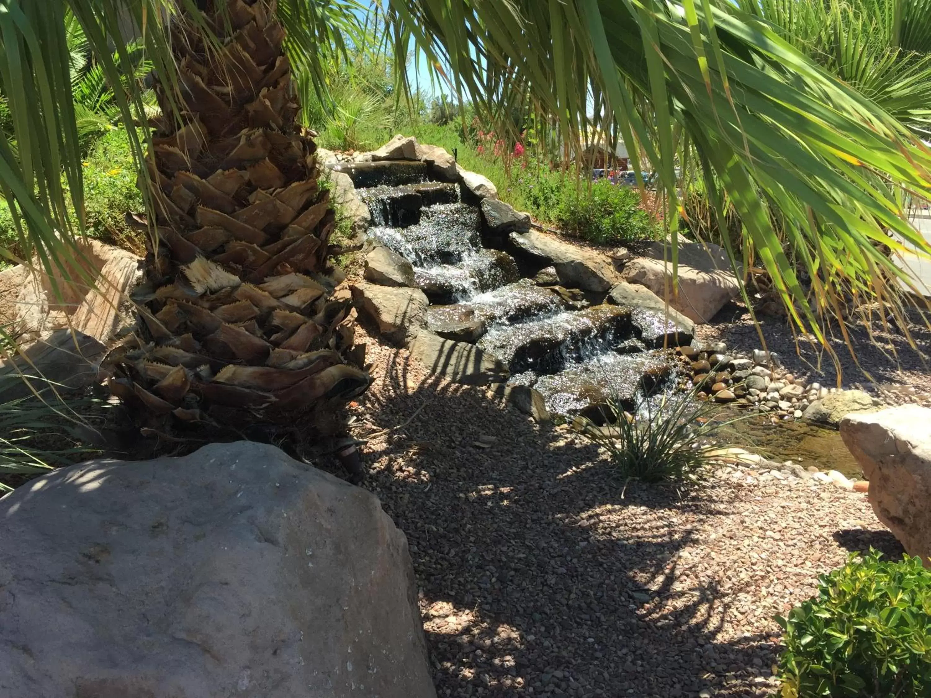 Garden in Days Inn by Wyndham St. George