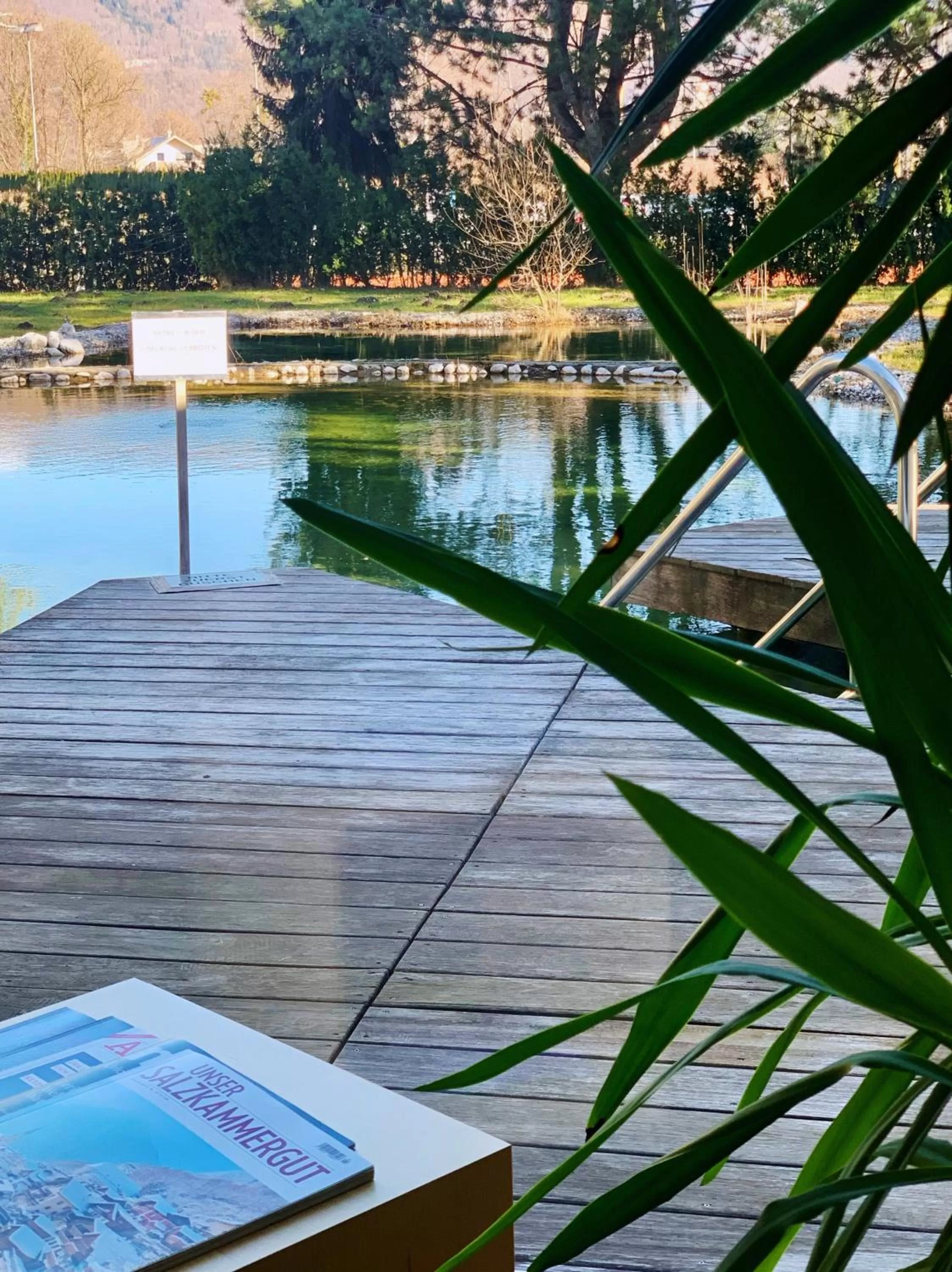 Pool view in Hotel Momentum