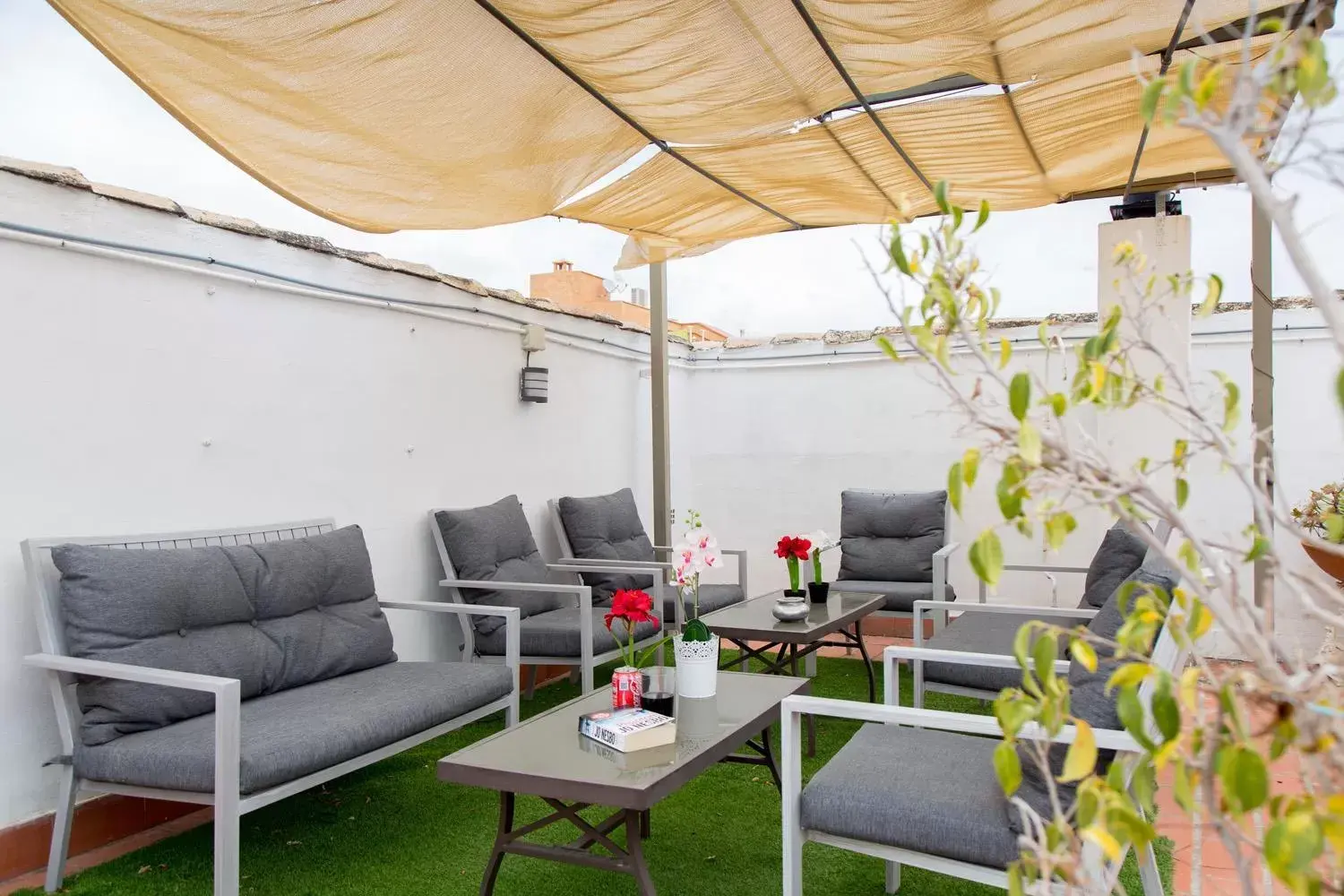 Patio in Hotel Marbella