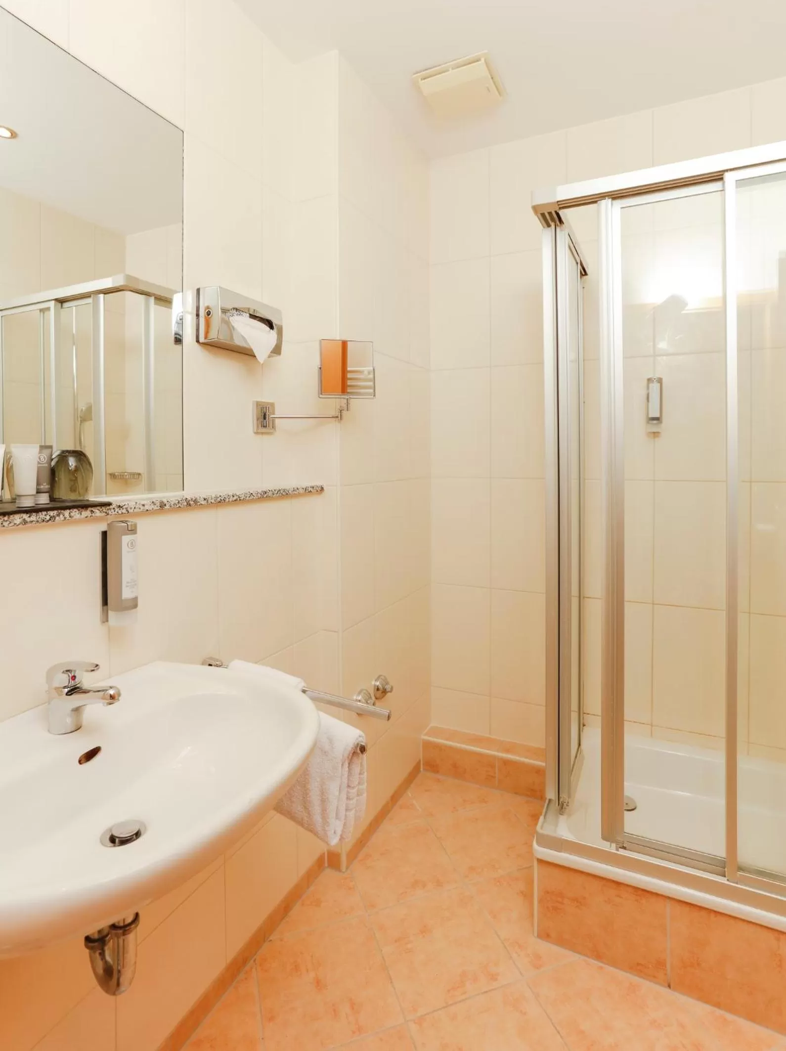 Shower in Hotel am Rhein