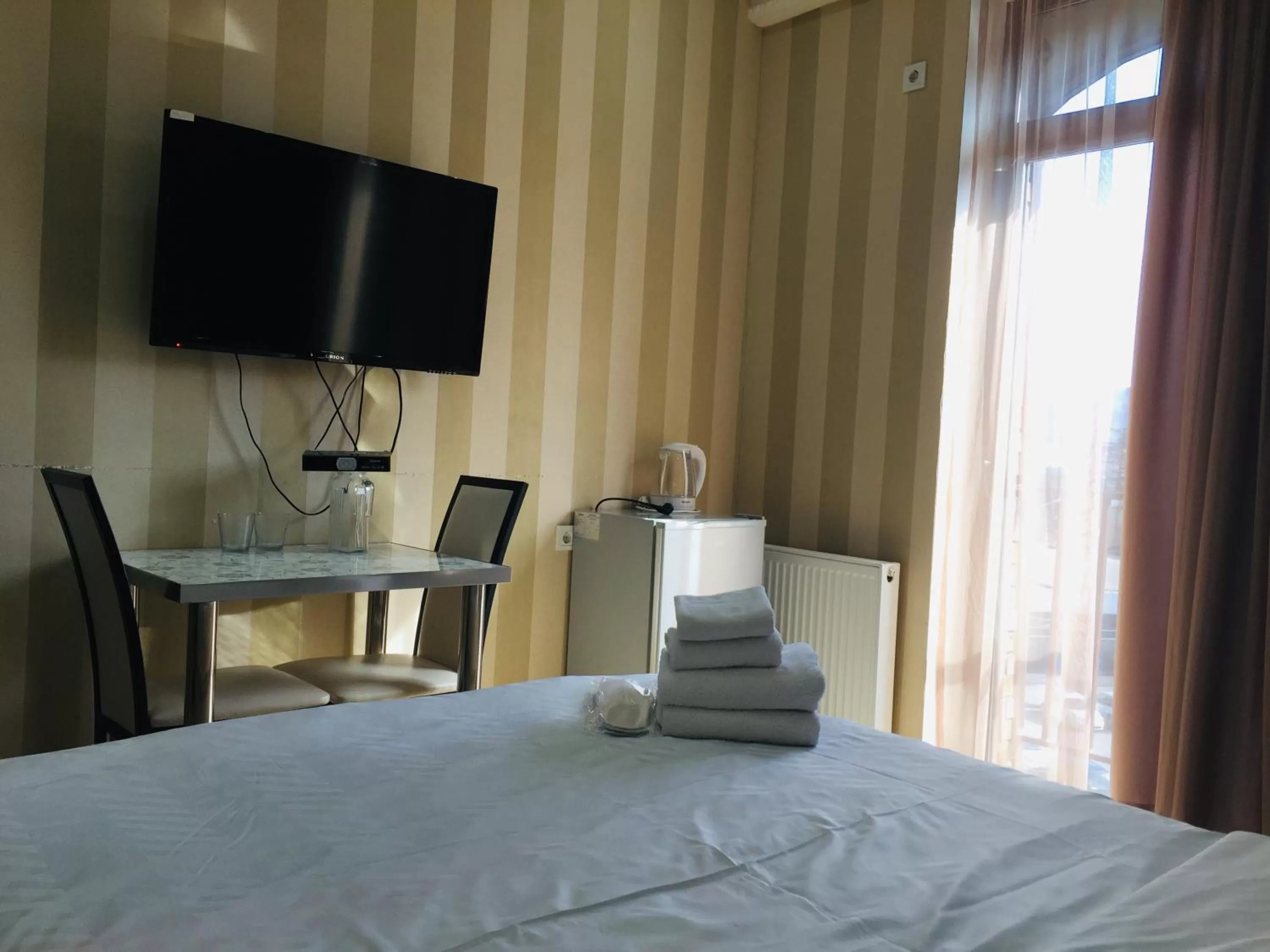 Communal lounge/ TV room in Hotel Tourist