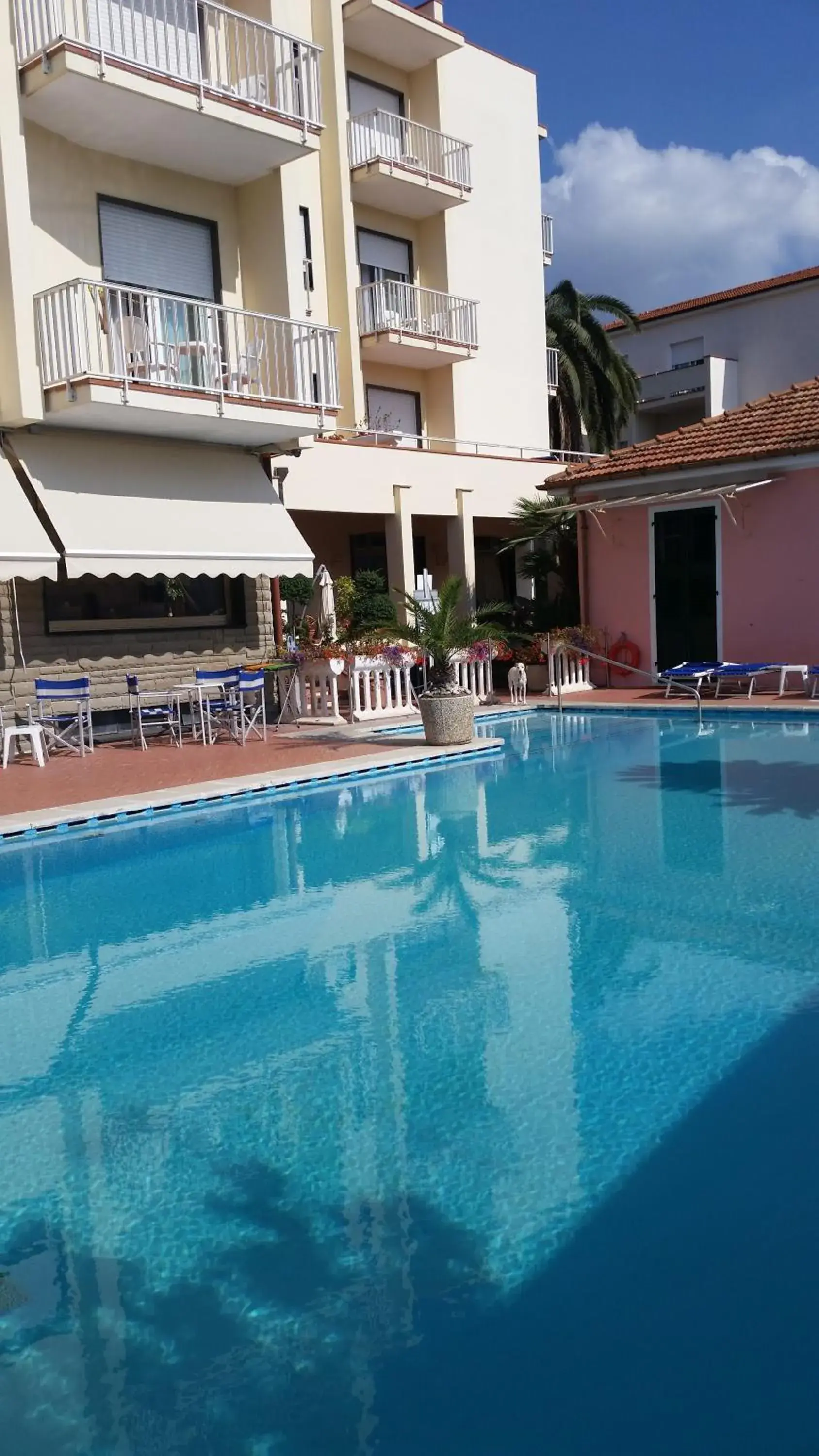 Garden, Swimming Pool in Hotel Splendid