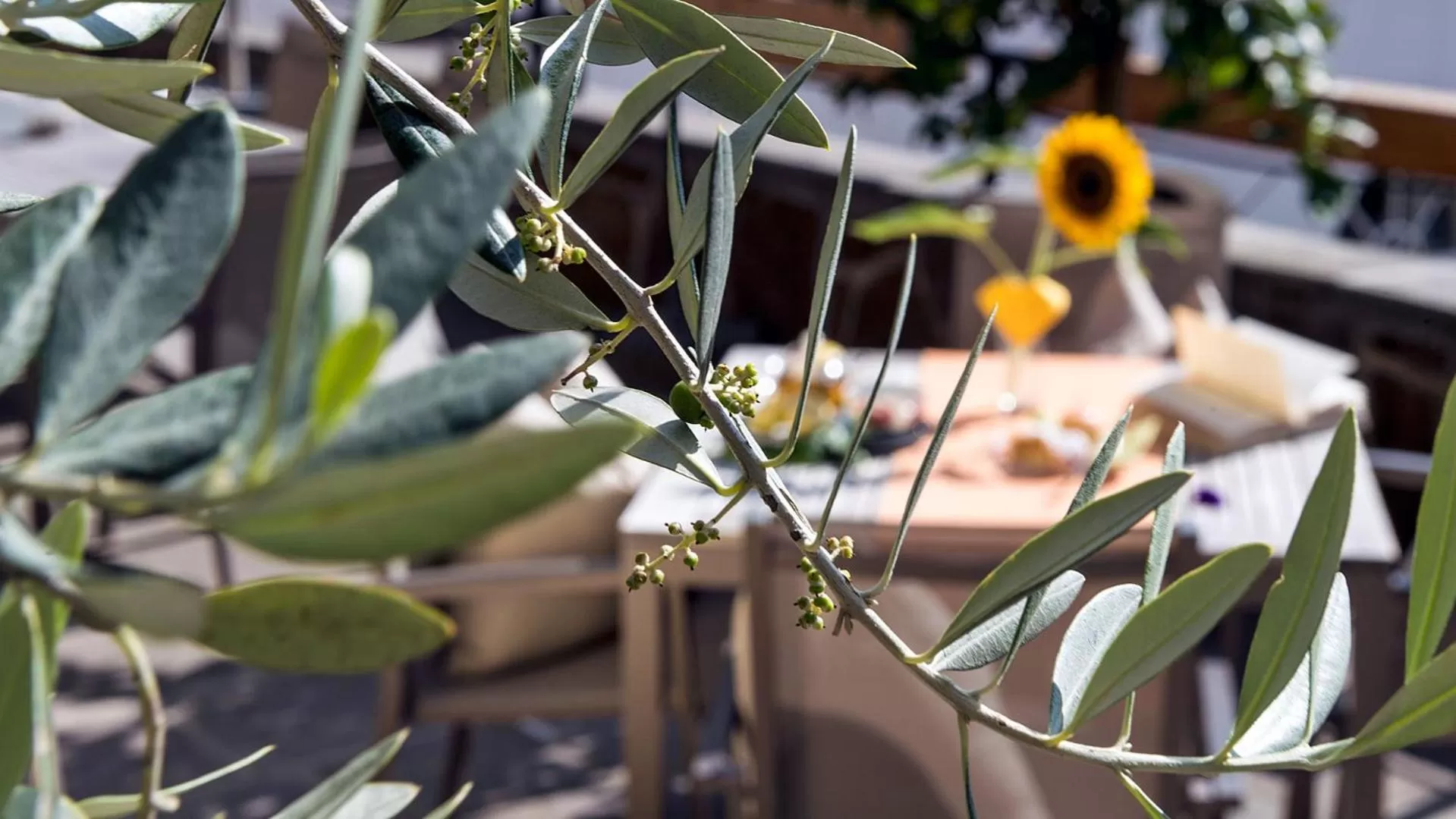 Natural landscape in Activehotel Diana