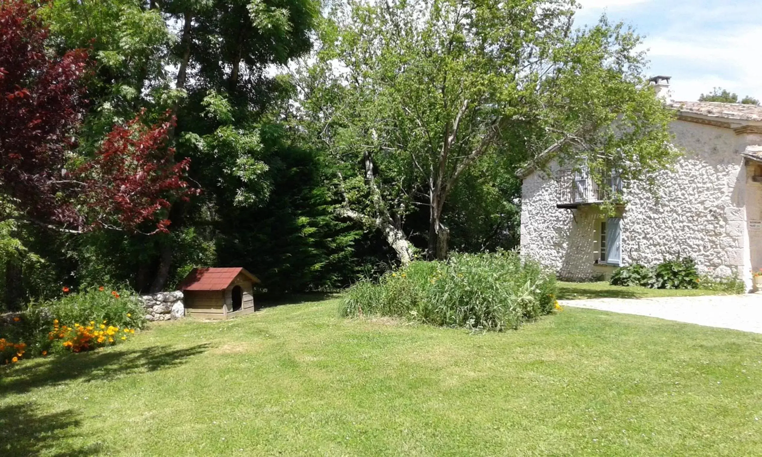 Garden in Le Colombier