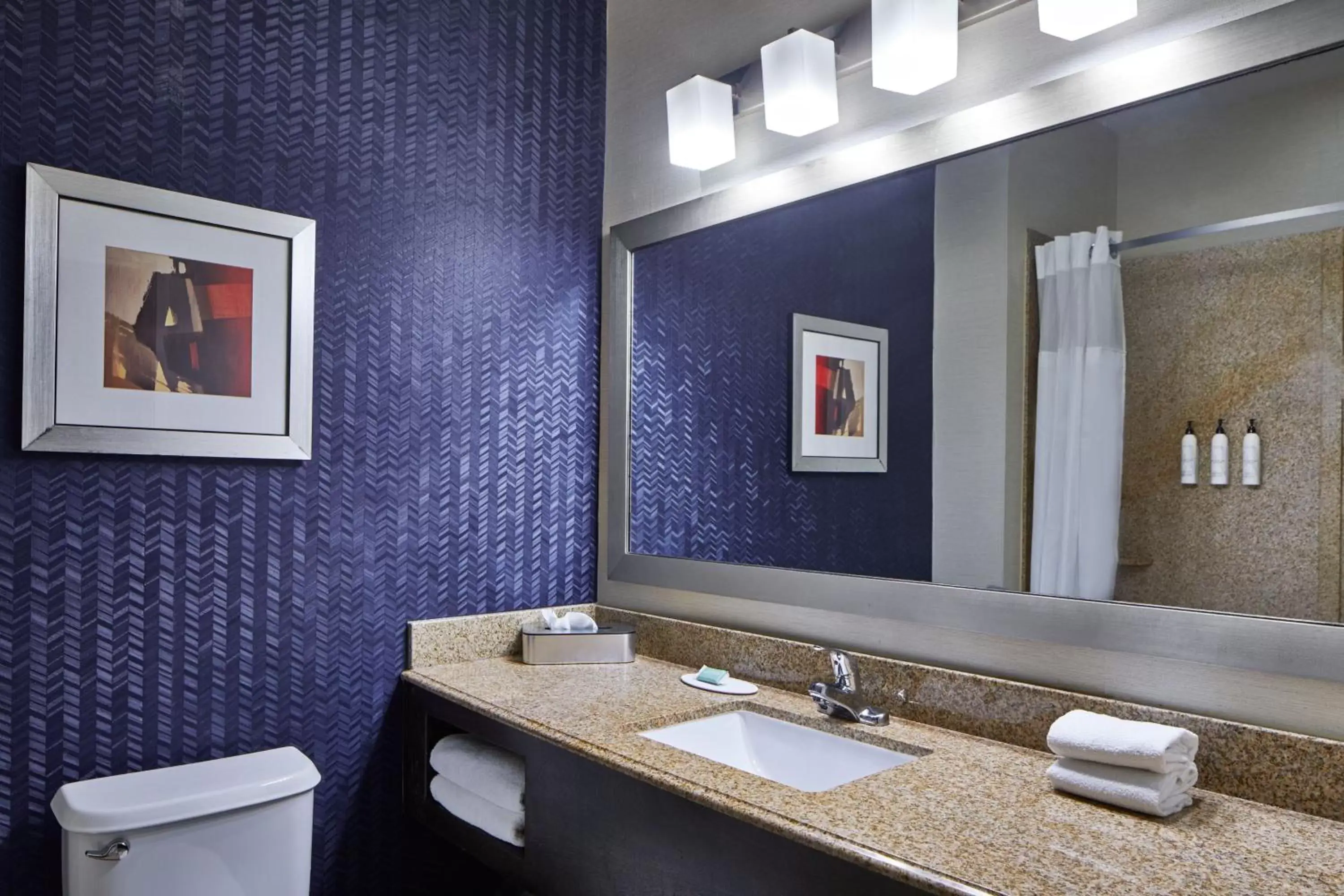 Bedroom, Bathroom in Fairfield Inn & Suites by Marriott Gainesville